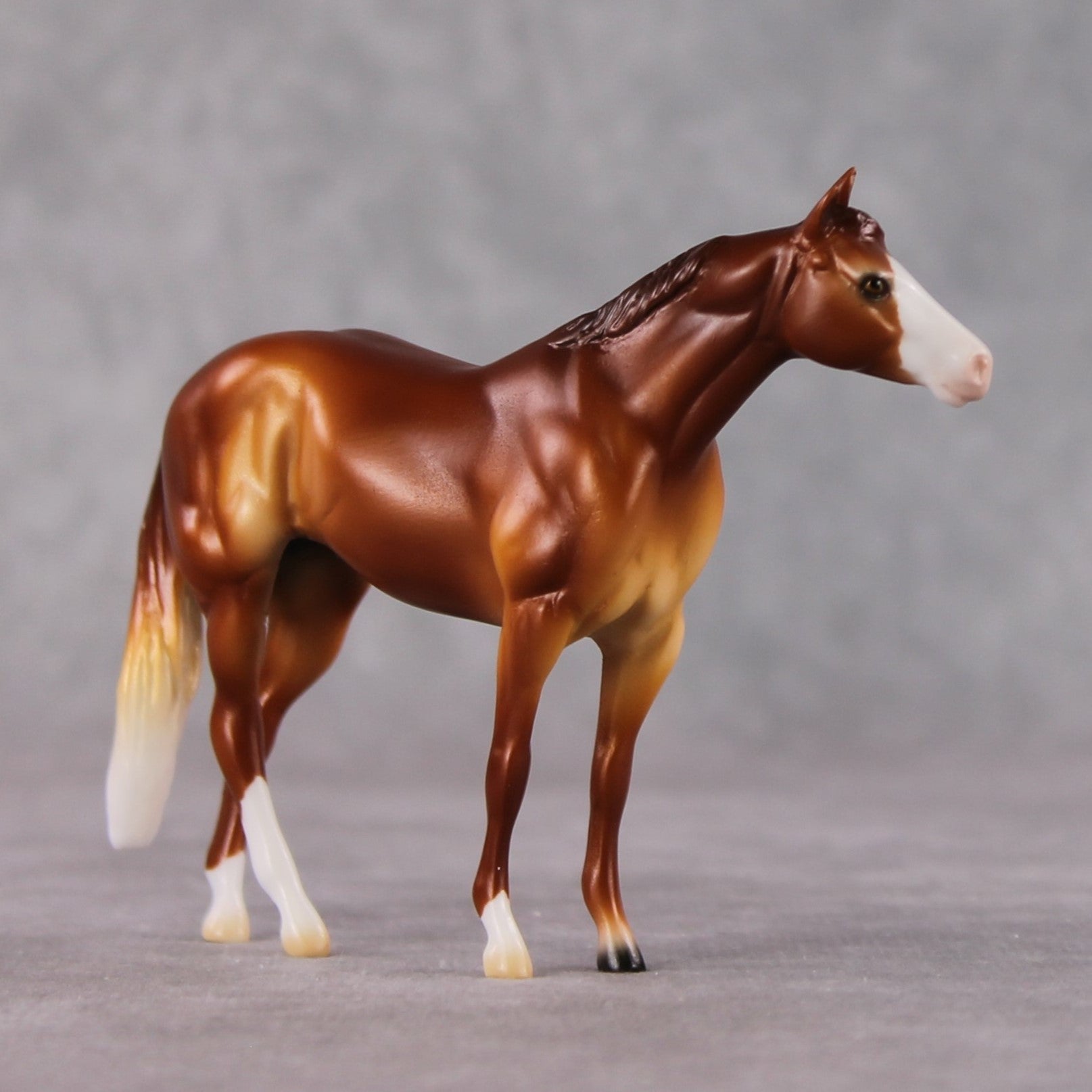 Stock Horse Chip Grab Bag - January 2025 We've Got History Shakespeare Chips Painted By Ellen Robbins CL25