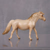 Golden Fall OOAK Series of 20 Shetland Ponies Cremello Pony Chip By Ashley Palmer LHS24