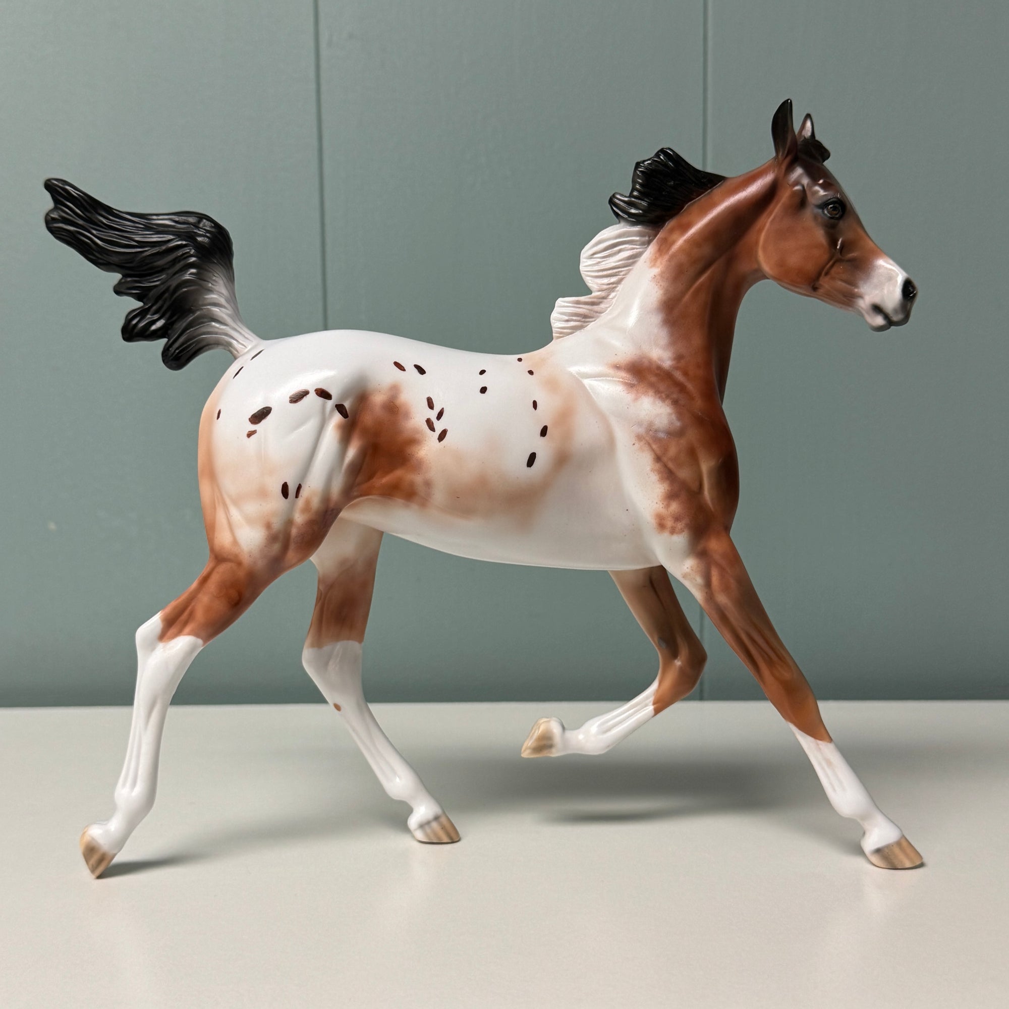 Wildcard Up My Sleeve OOAK Bay Appaloosa Yearling By Dawn Quick EQ24