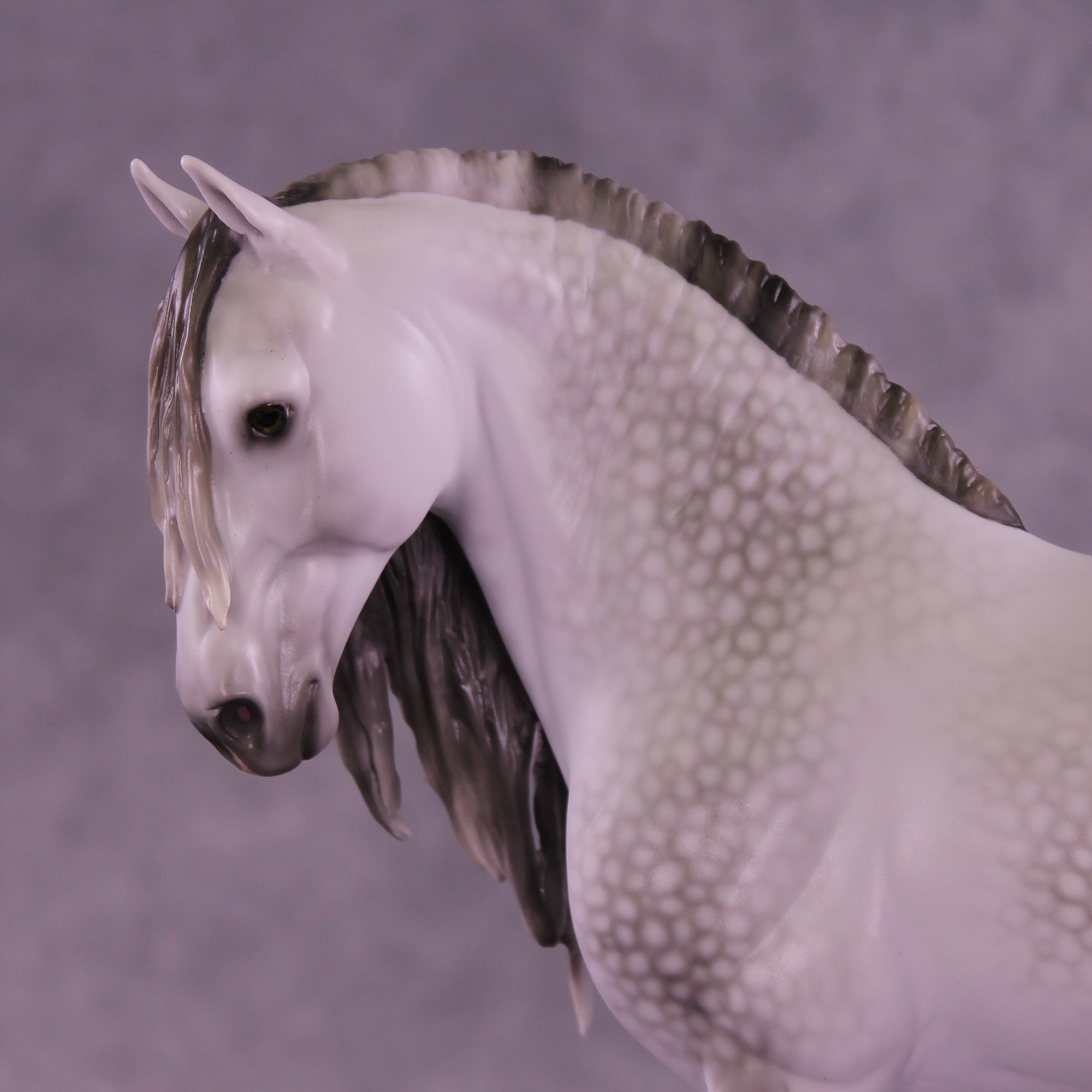 Mega Marshmallow Fluff Fandango OOAK EFCM Andalusian by Ellen Robbins &amp; Melanie Miller SCD26