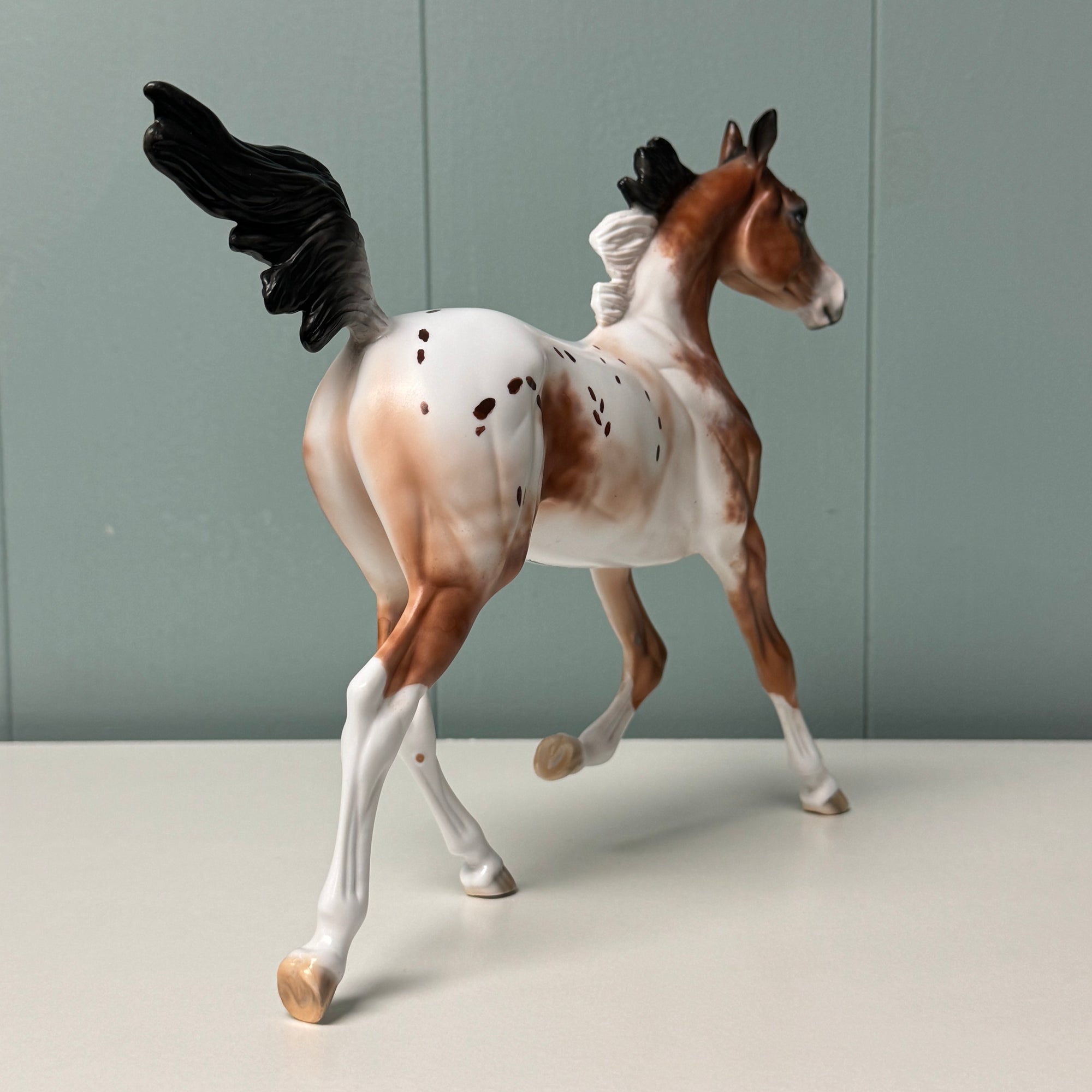 Wildcard Up My Sleeve OOAK Bay Appaloosa Yearling By Dawn Quick EQ24