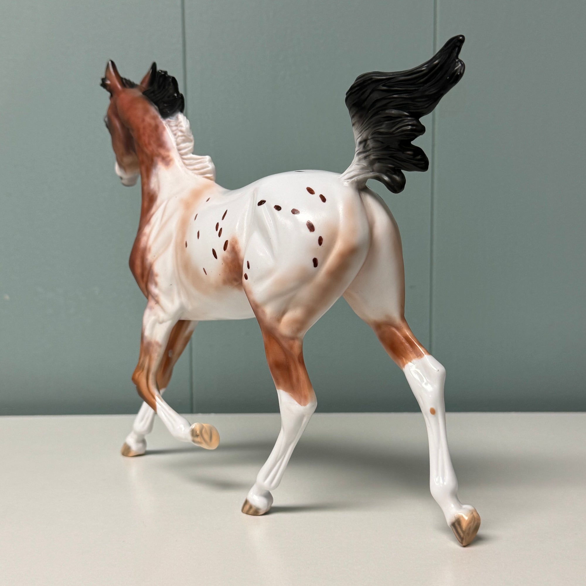 Wildcard Up My Sleeve OOAK Bay Appaloosa Yearling By Dawn Quick EQ24