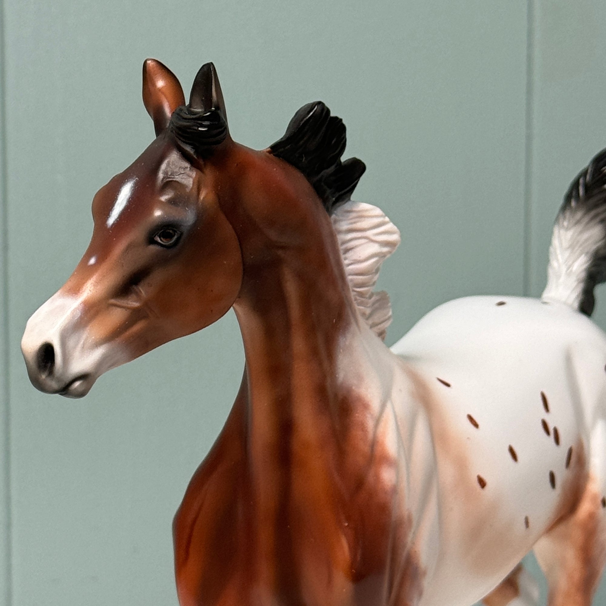 Wildcard Up My Sleeve OOAK Bay Appaloosa Yearling By Dawn Quick EQ24