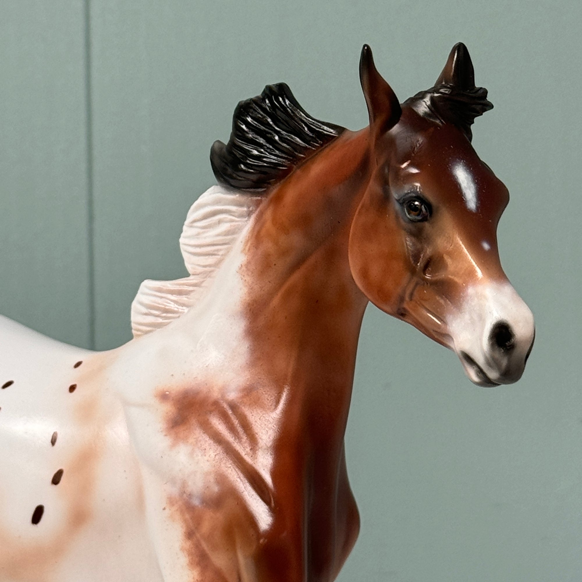 Wildcard Up My Sleeve OOAK Bay Appaloosa Yearling By Dawn Quick EQ24