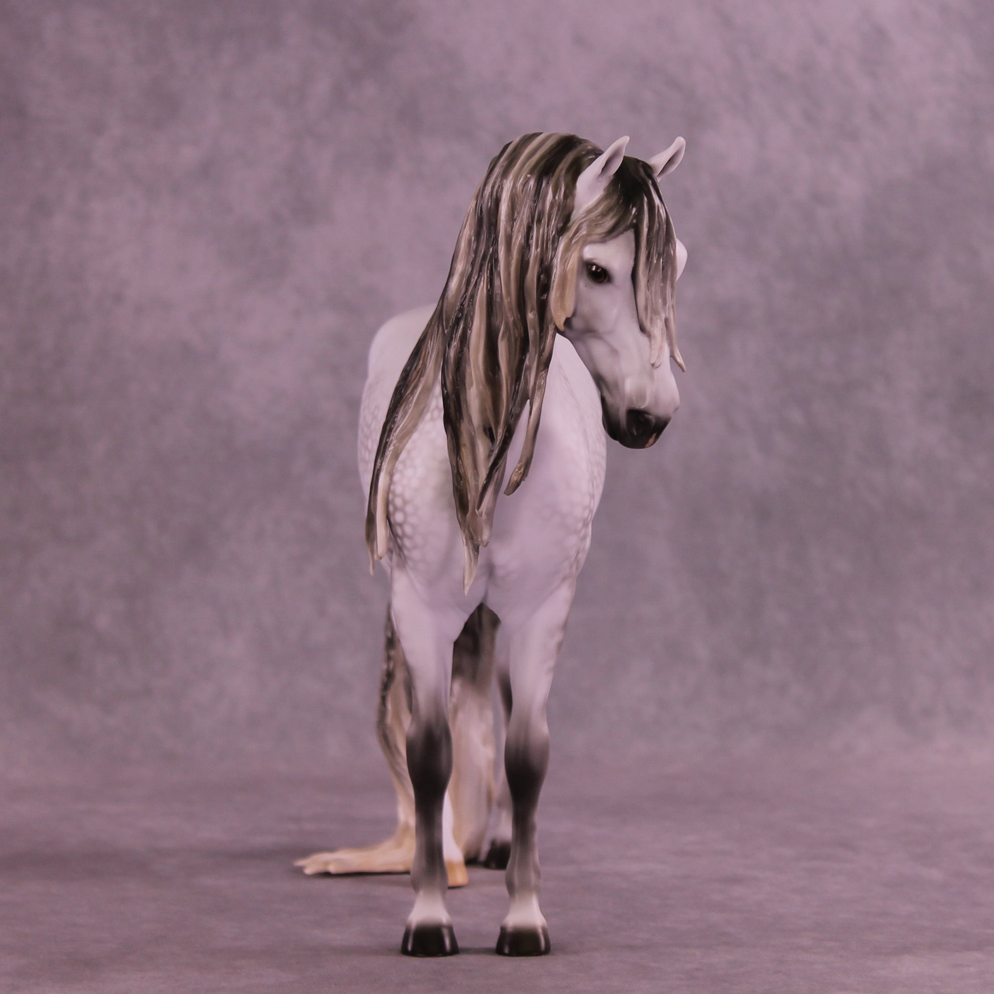 Mega Marshmallow Fluff Fandango OOAK EFCM Andalusian by Ellen Robbins &amp; Melanie Miller SCD26