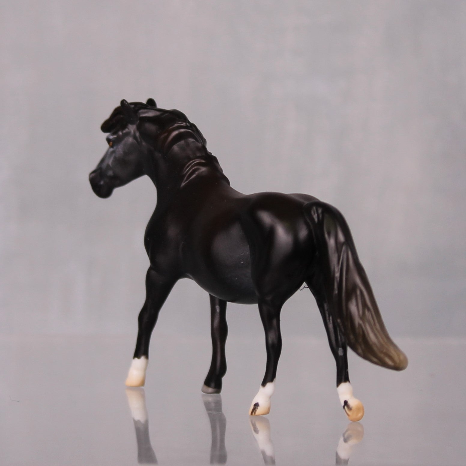 Muesli OOAK Series of 20 Shetland Ponies Sunburnt Black Pony Chip By Jess Hamill LHS24