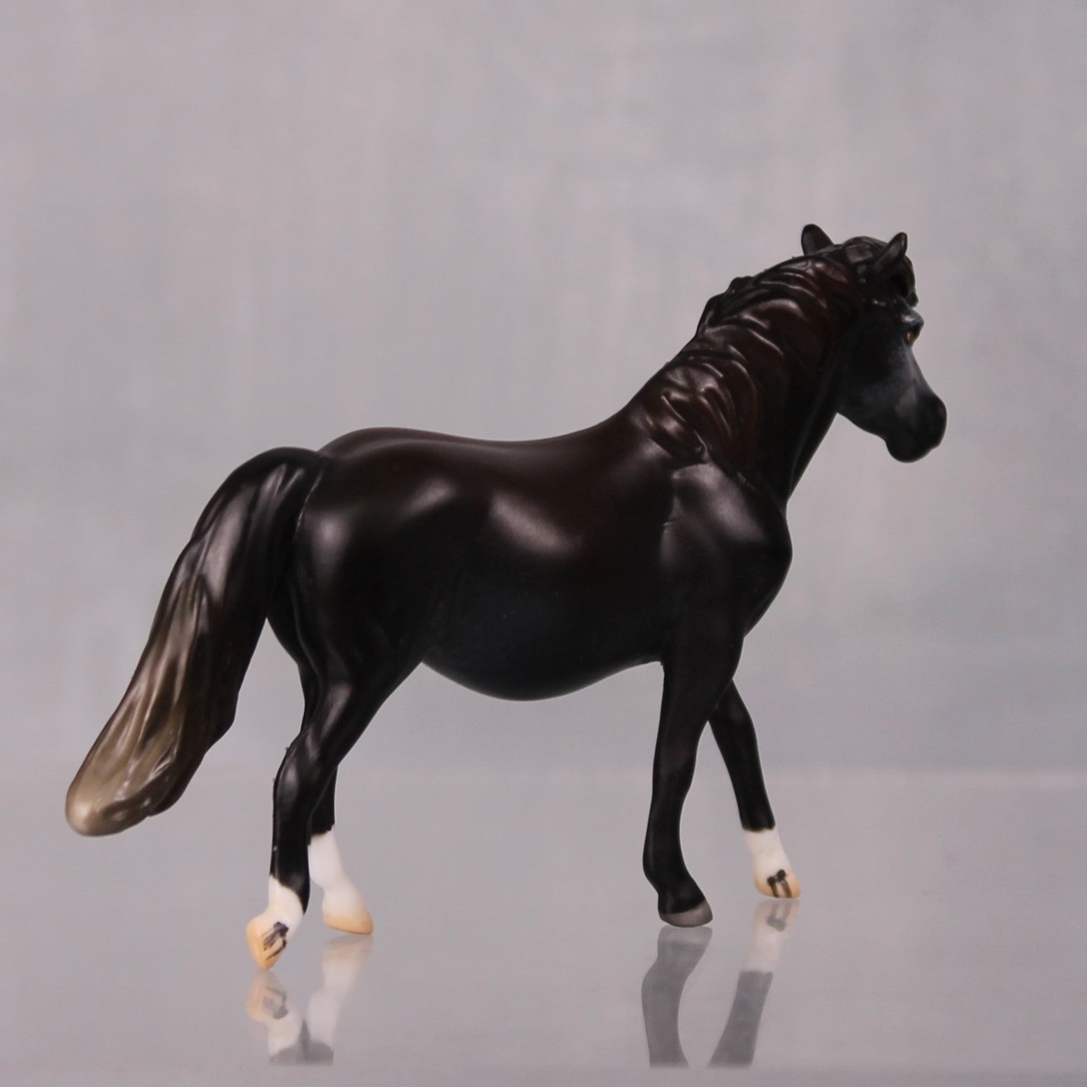 Muesli OOAK Series of 20 Shetland Ponies Sunburnt Black Pony Chip By Jess Hamill LHS24