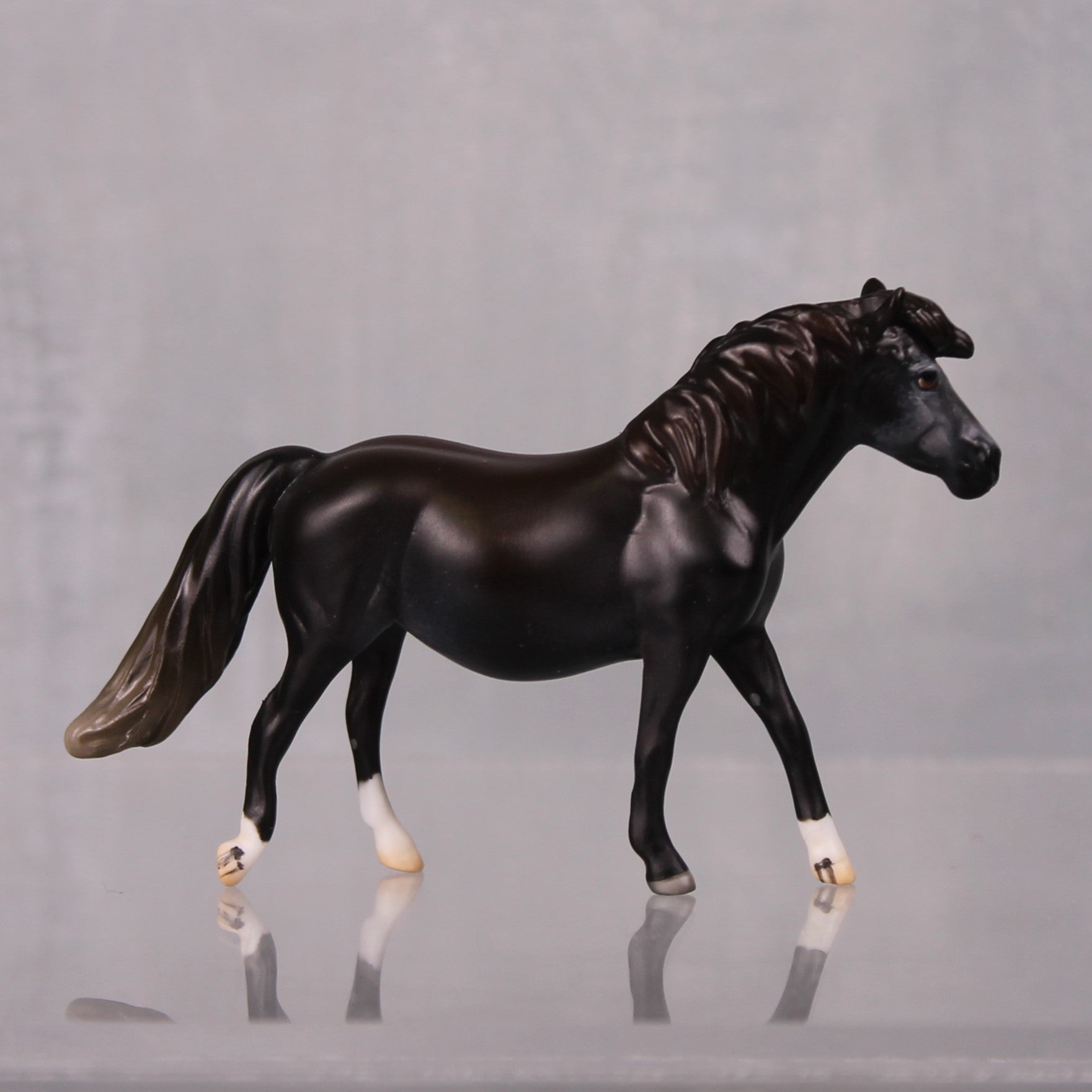 Muesli OOAK Series of 20 Shetland Ponies Sunburnt Black Pony Chip By Jess Hamill LHS24