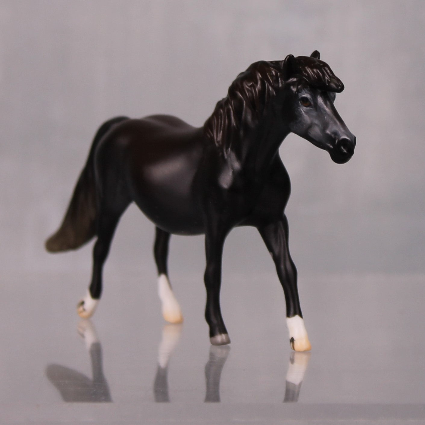 Muesli OOAK Series of 20 Shetland Ponies Sunburnt Black Pony Chip By Jess Hamill LHS24