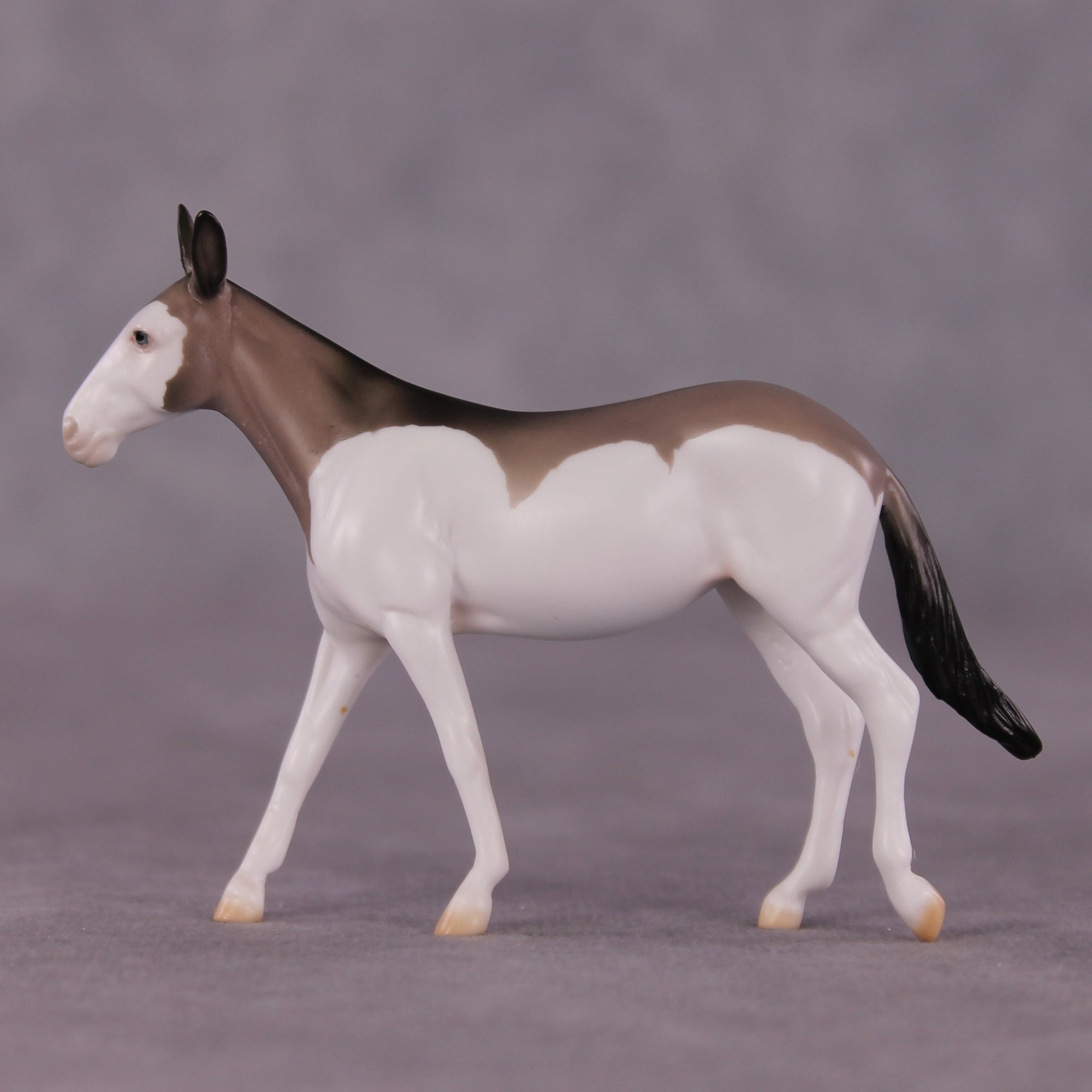 "Nectogale" LE-5 Mule Chip Mollie By Ellen Robbins CL25