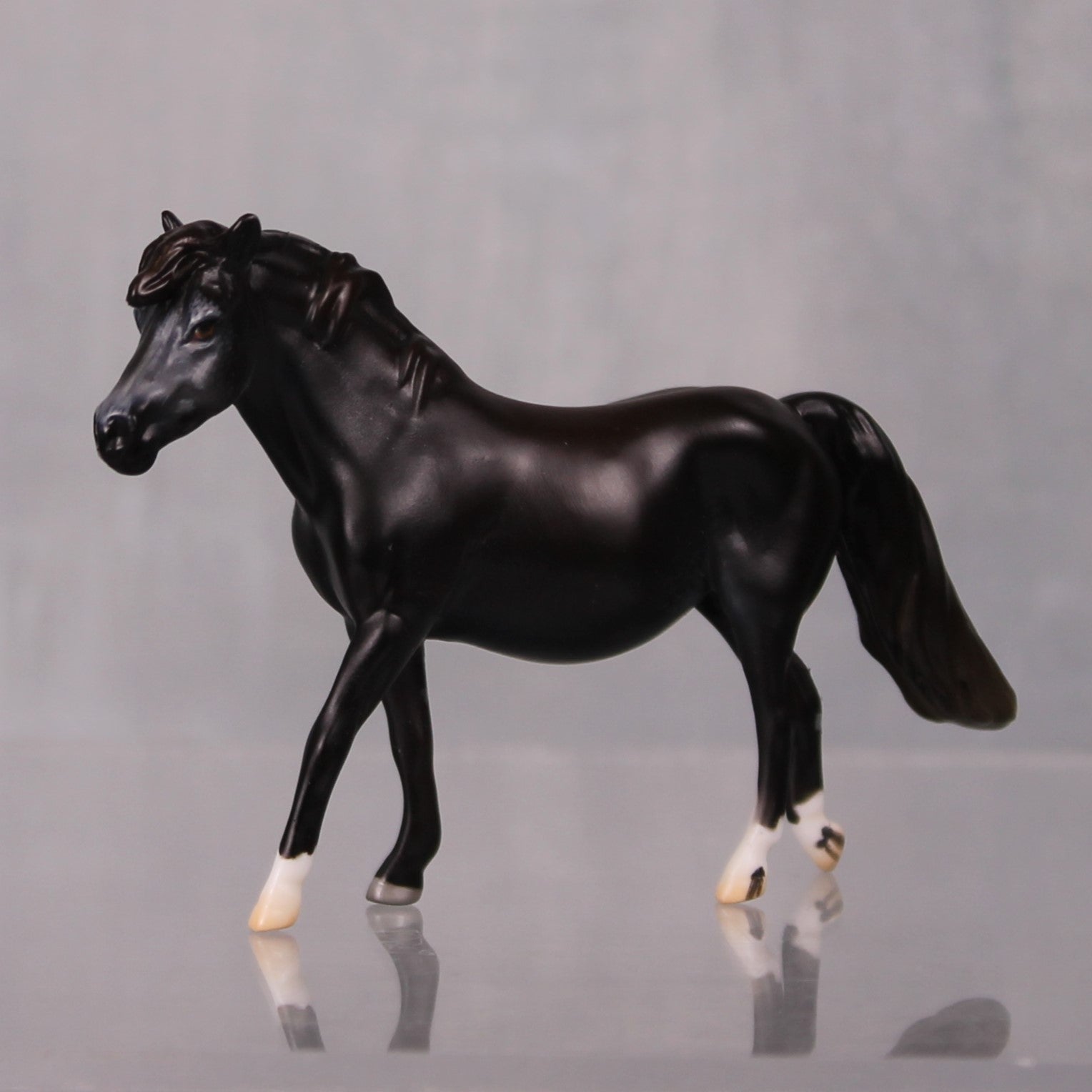 Muesli OOAK Series of 20 Shetland Ponies Sunburnt Black Pony Chip By Jess Hamill LHS24