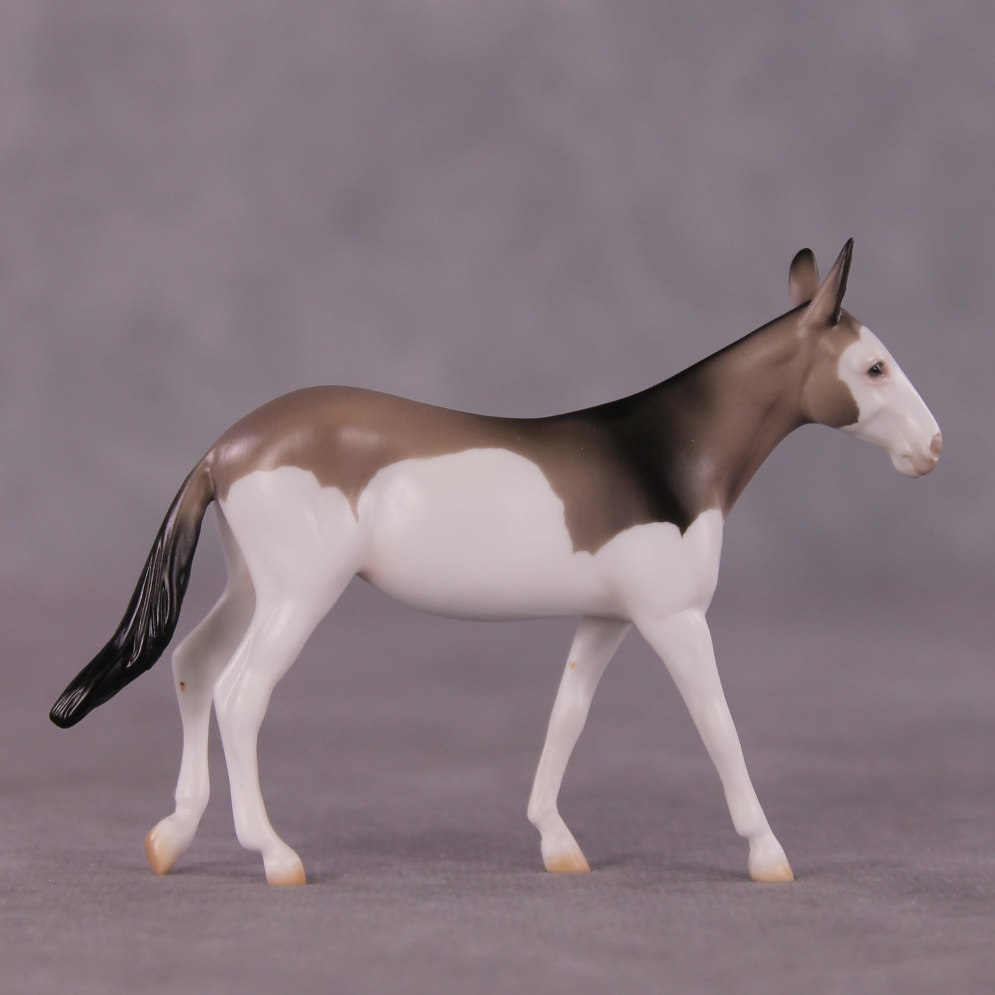 "Nectogale" LE-5 Mule Chip Mollie By Ellen Robbins CL25