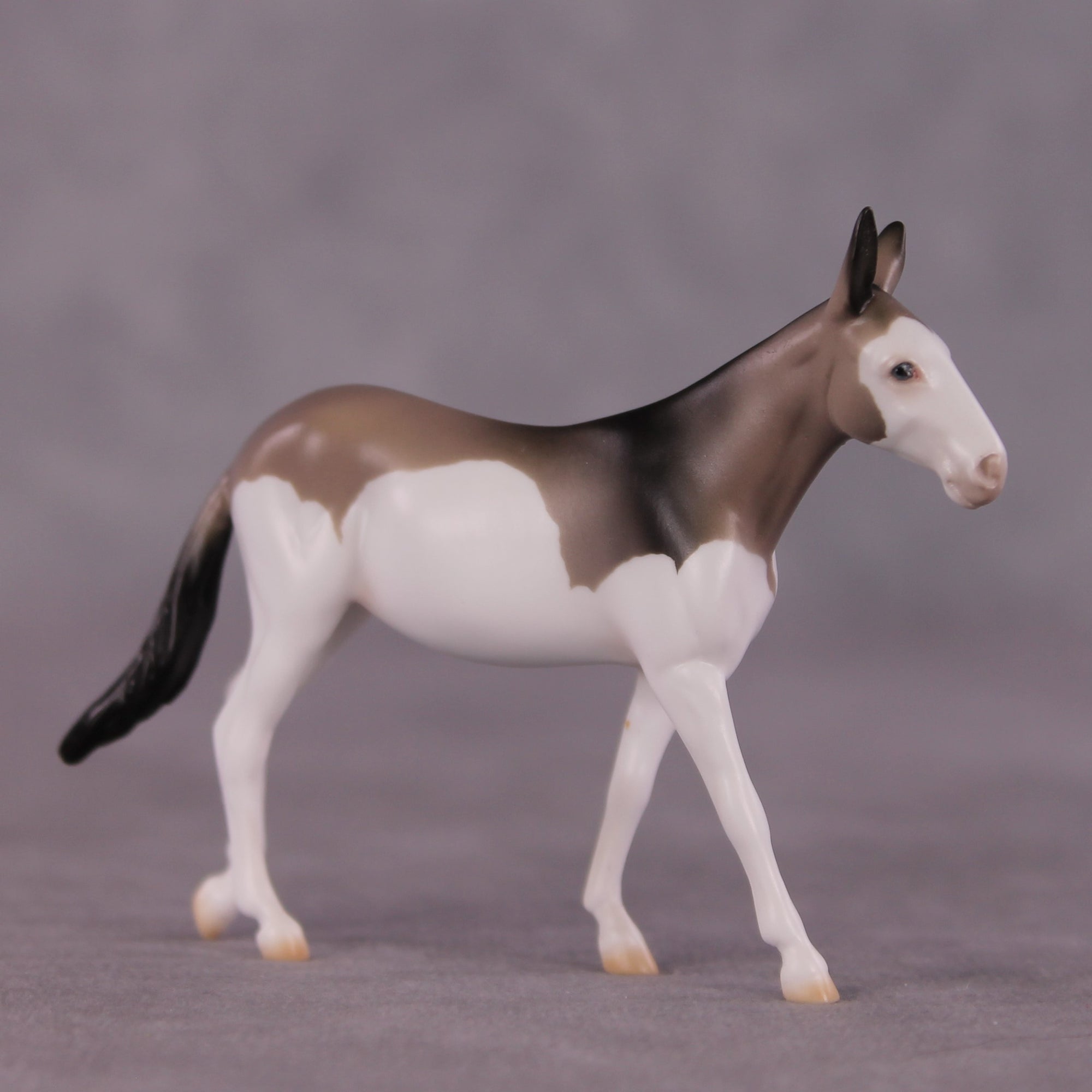 "Nectogale" LE-5 Mule Chip Mollie By Ellen Robbins CL25