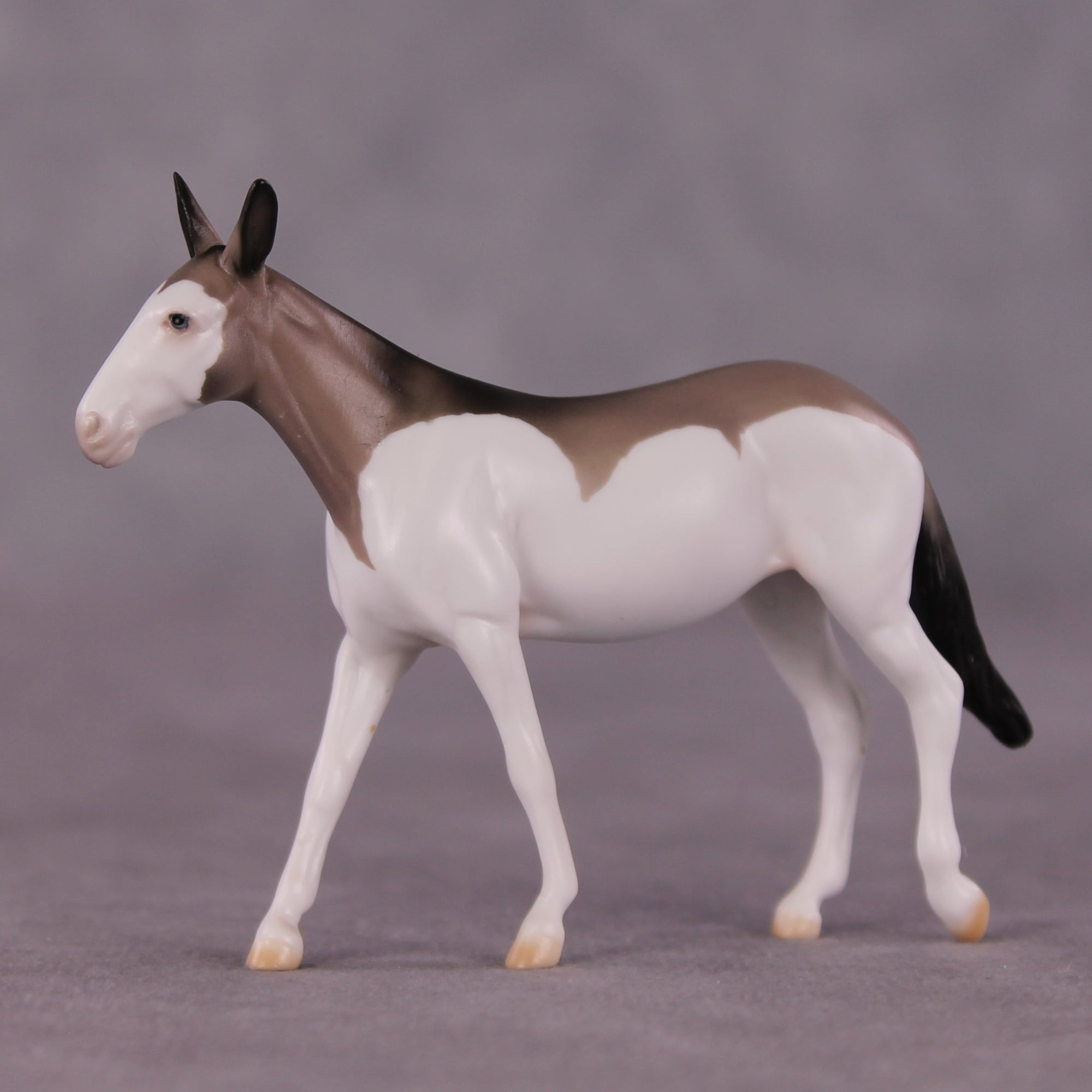 "Nectogale" LE-5 Mule Chip Mollie By Ellen Robbins CL25