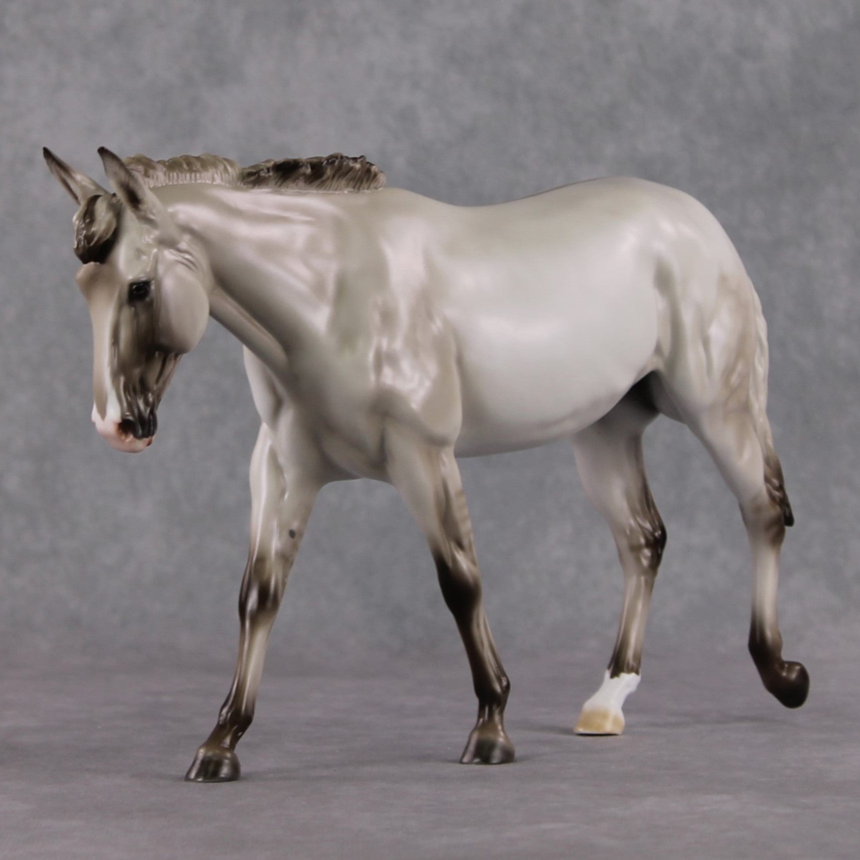 "Vexica" LE-10 Dappled Silver Grulla Mule By Ashley Palmer - 2025 Zodiac Series ZS25