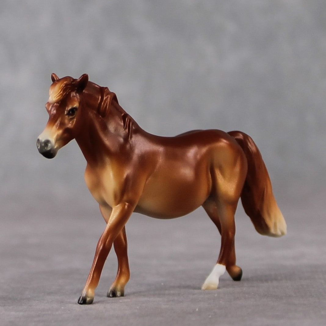 Pony Chip Grab Bag - January 2025 We've Got History Shakespeare Chips Painted By Ellen Robbins CL25