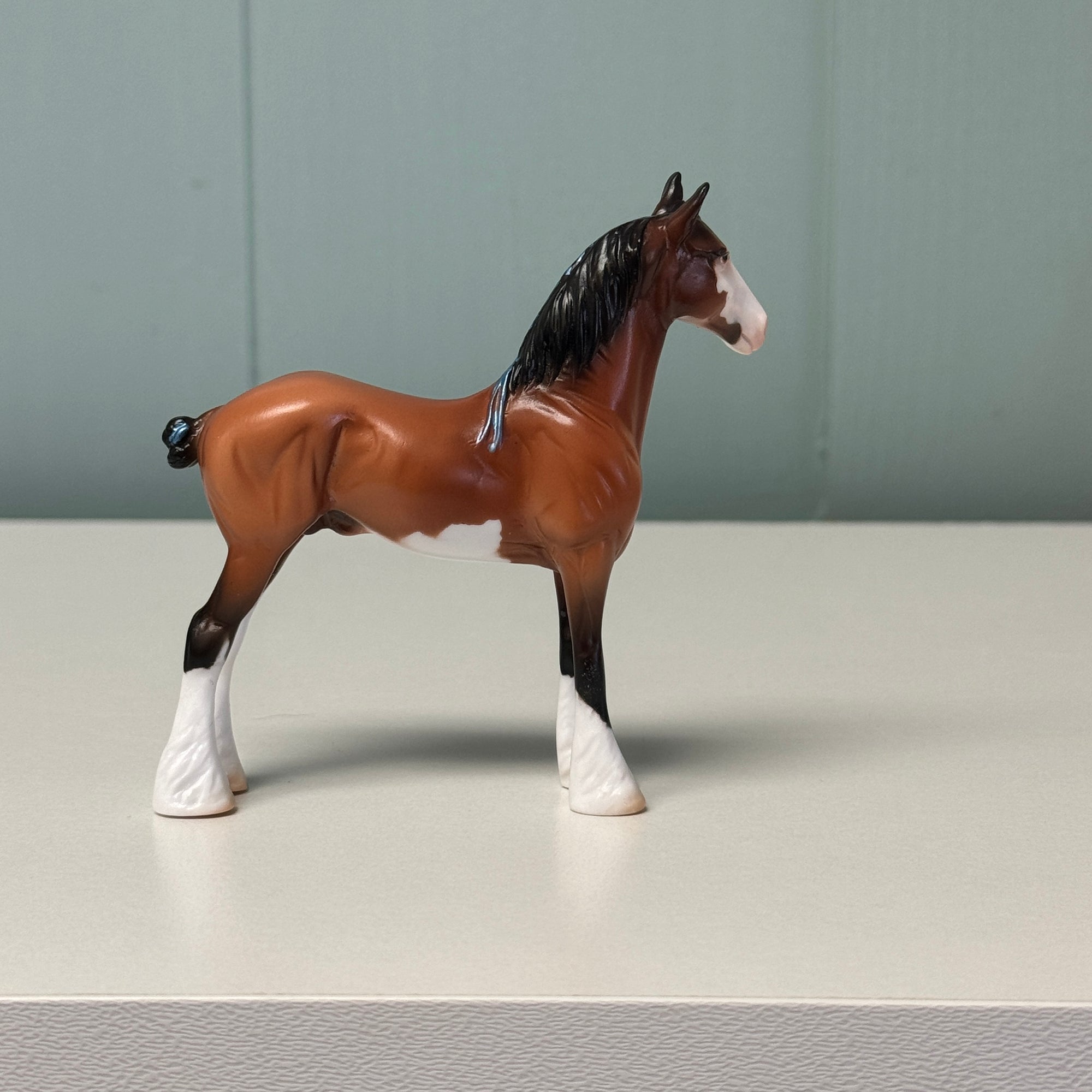 Jacob OOAK Bay Sabino Draft Chip By Jess Hamill EQ24