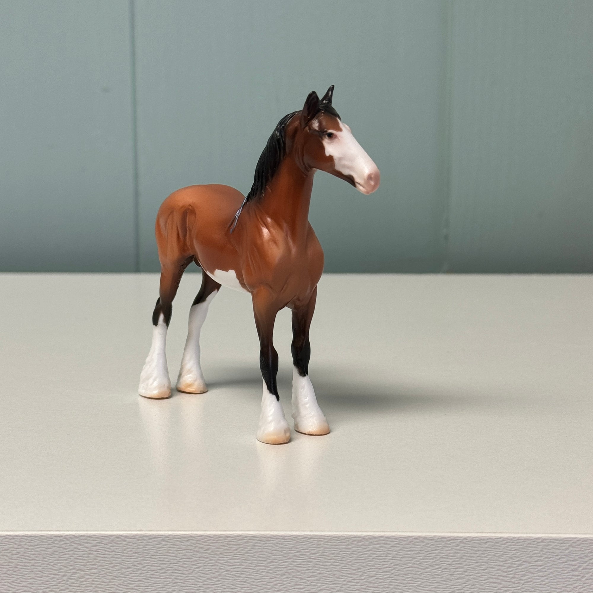 Jacob OOAK Bay Sabino Draft Chip By Jess Hamill EQ24