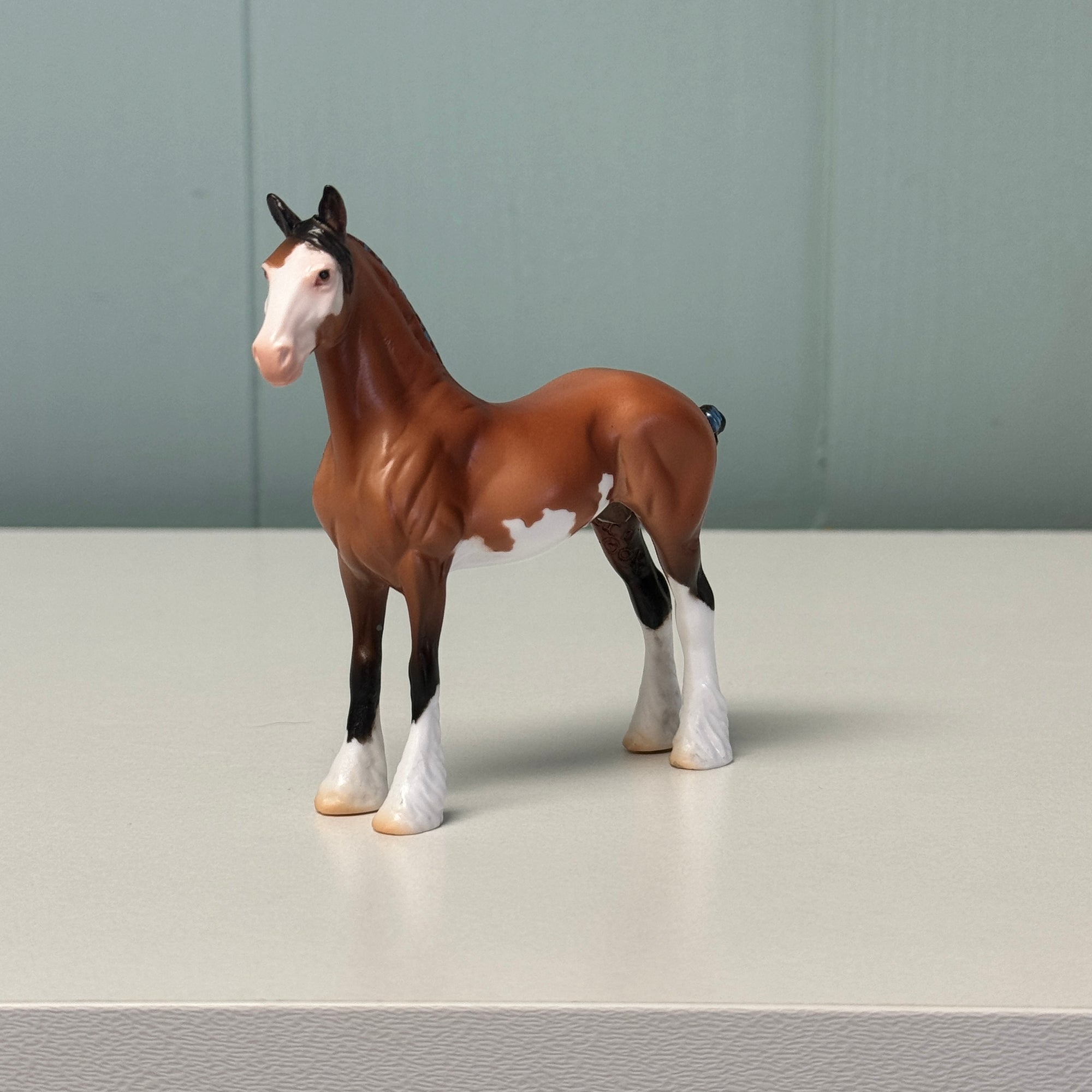 Jacob OOAK Bay Sabino Draft Chip By Jess Hamill EQ24