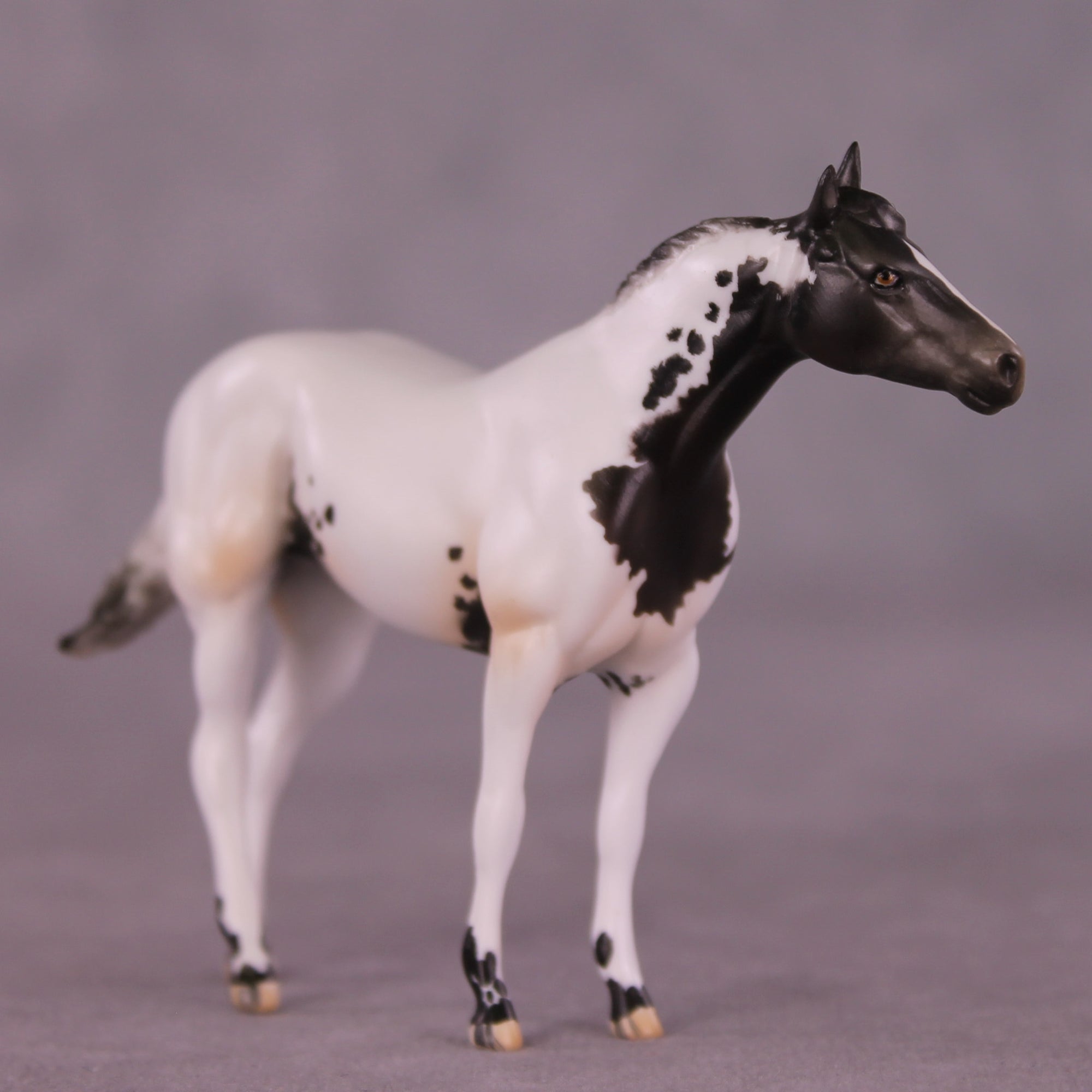 SAMPLE Mystique LE-10 FCM Chip Stock Horse by Julie Keim HS25