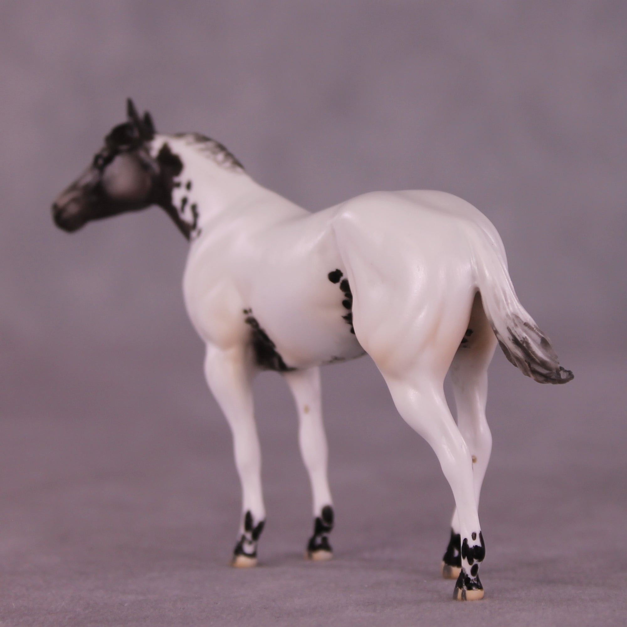SAMPLE Mystique LE-10 FCM Chip Stock Horse by Julie Keim HS25