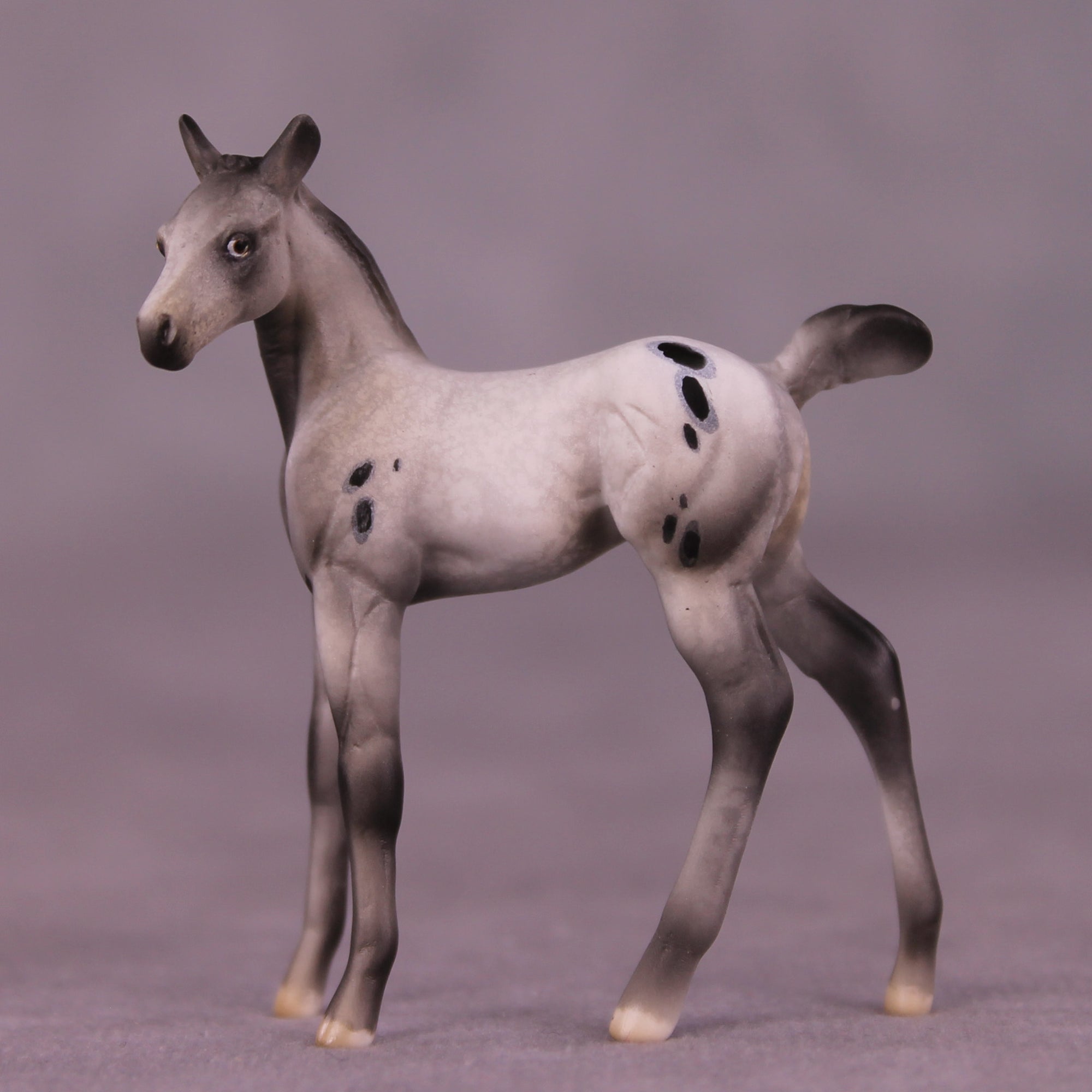 SAMPLE Mystery LE-10 FCM Chip Foal by Julie Keim HS25