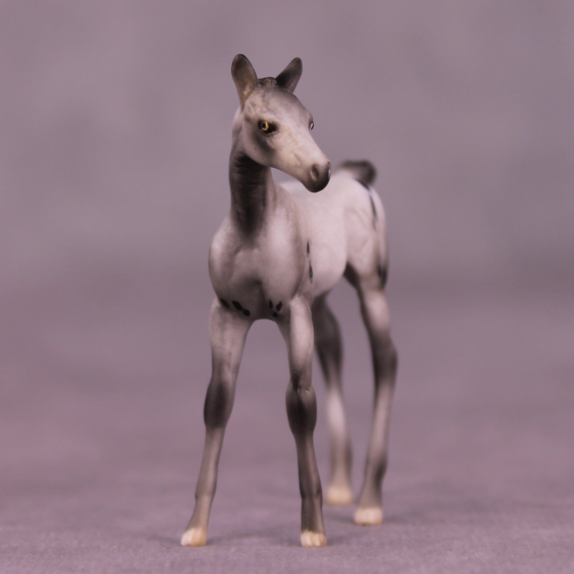 Preview: Mystery LE-10 FCM Chip Foal by Julie Keim LHS25