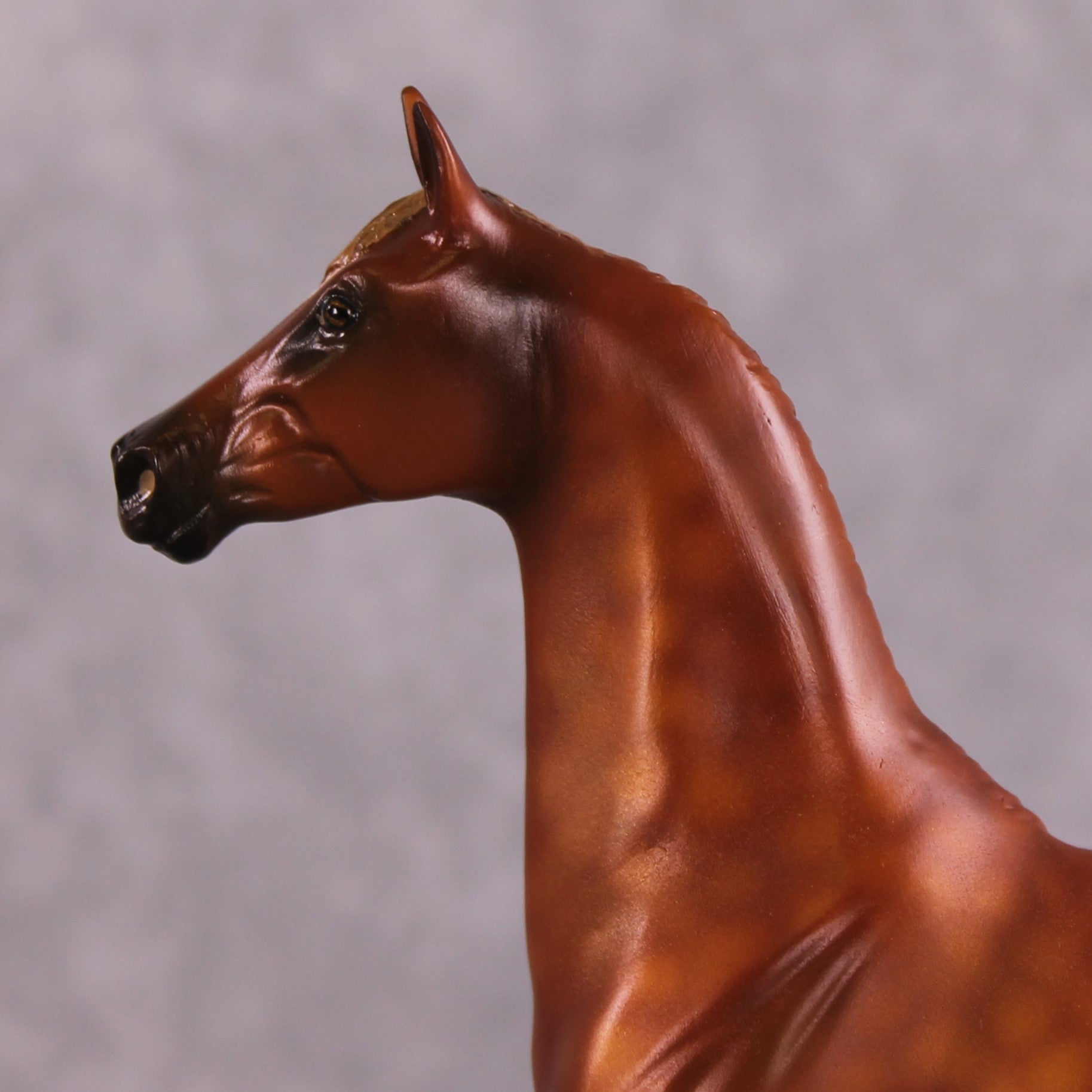 "Midwest Princess" OOAK EFCM Pebble Saddlebred By Kristen Cermele SHCF25 Best Offer 5/27/25