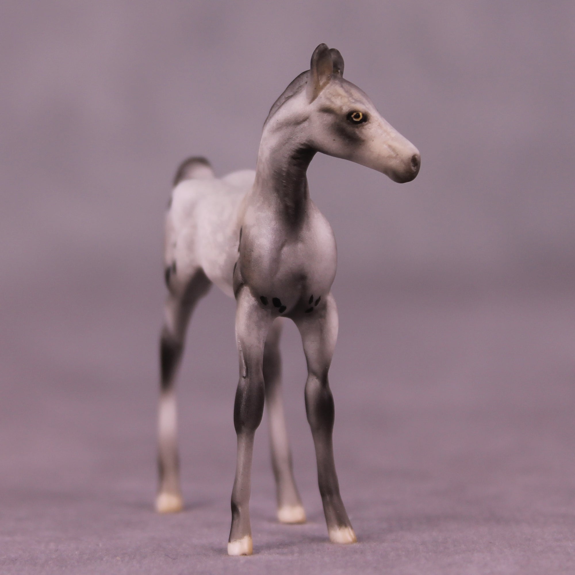 SAMPLE Mystery LE-10 FCM Chip Foal by Julie Keim HS25