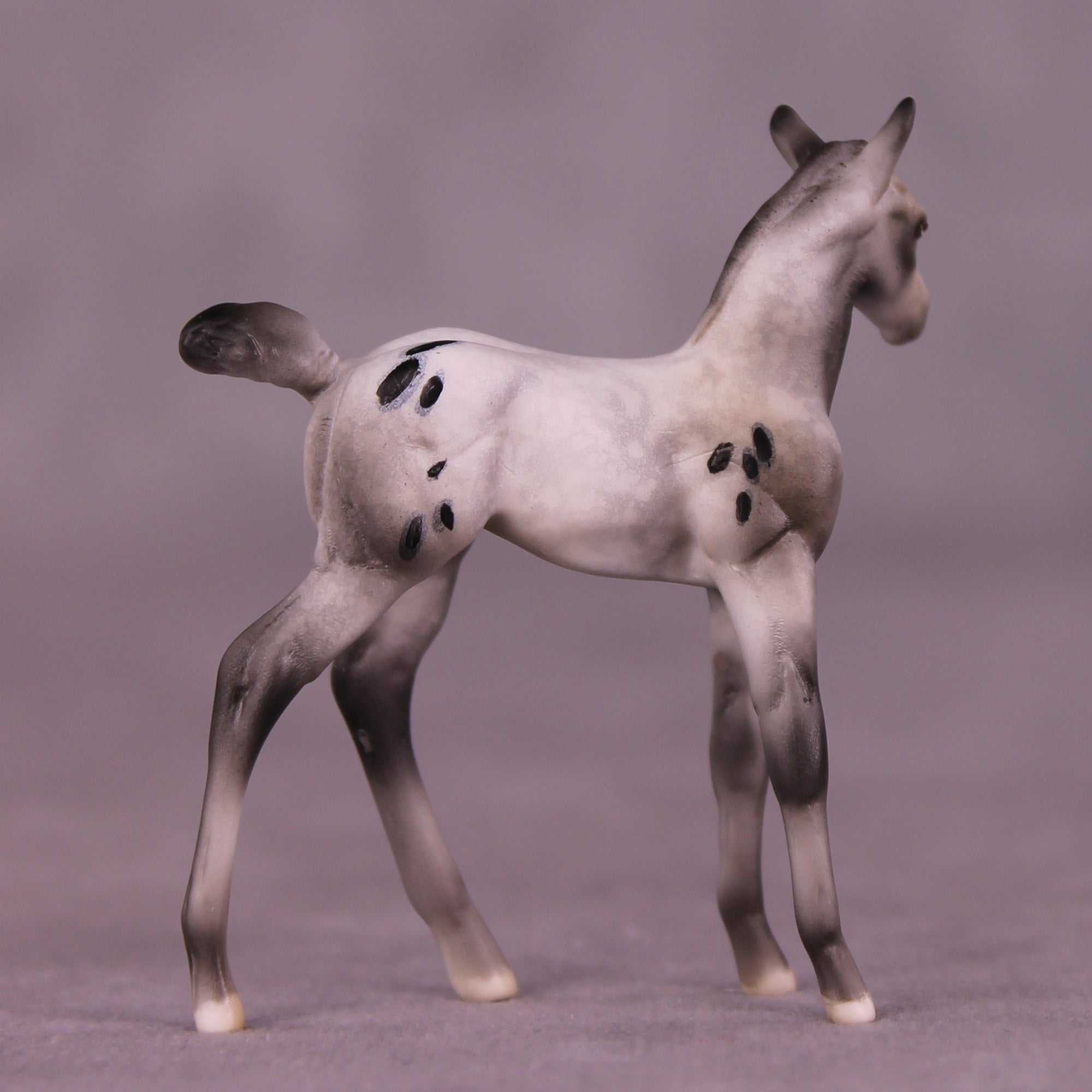 Preview: Mystery LE-10 FCM Chip Foal by Julie Keim LHS25