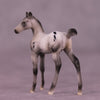 Preview: Mystery LE-10 FCM Chip Foal by Julie Keim LHS25
