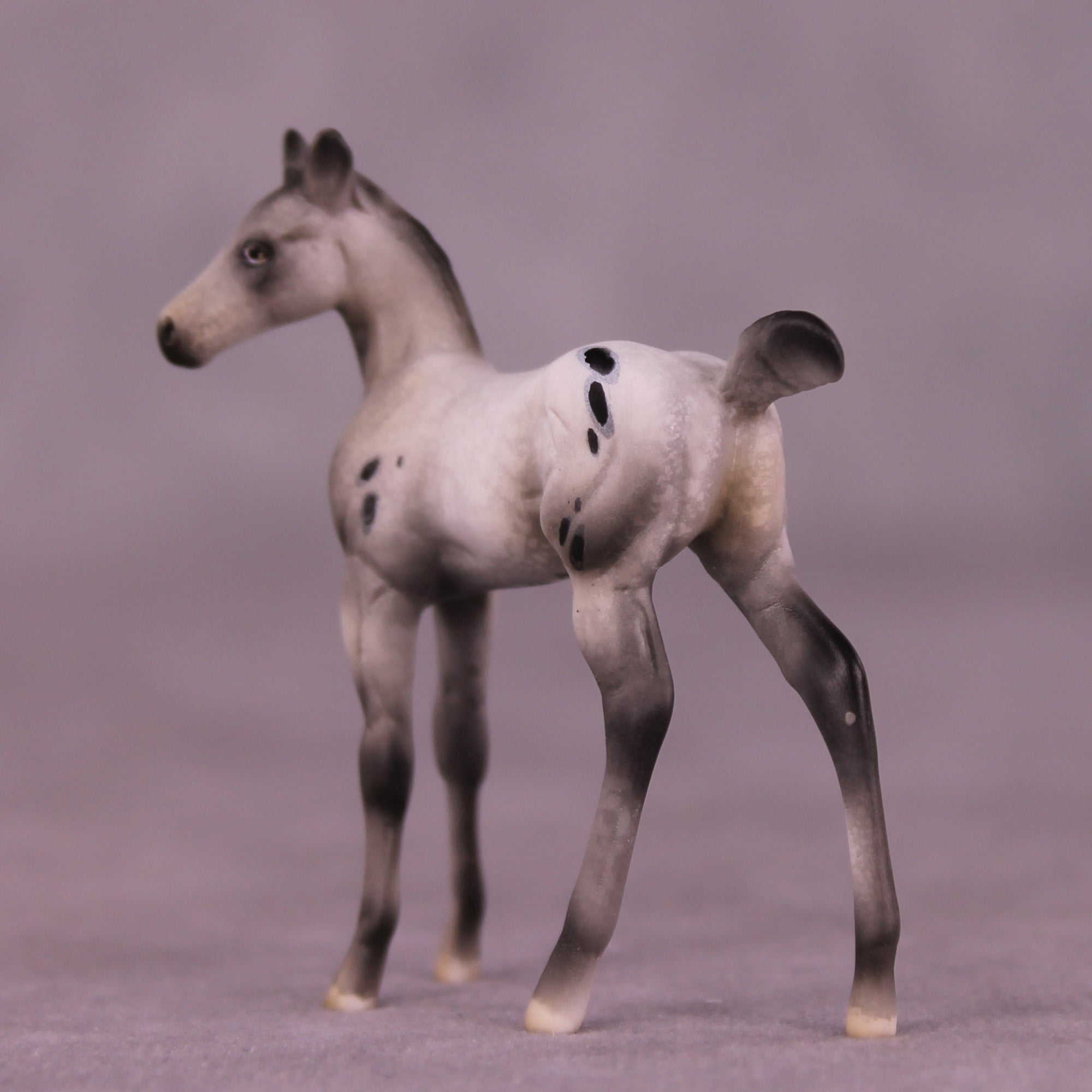 SAMPLE Mystery LE-10 FCM Chip Foal by Julie Keim HS25