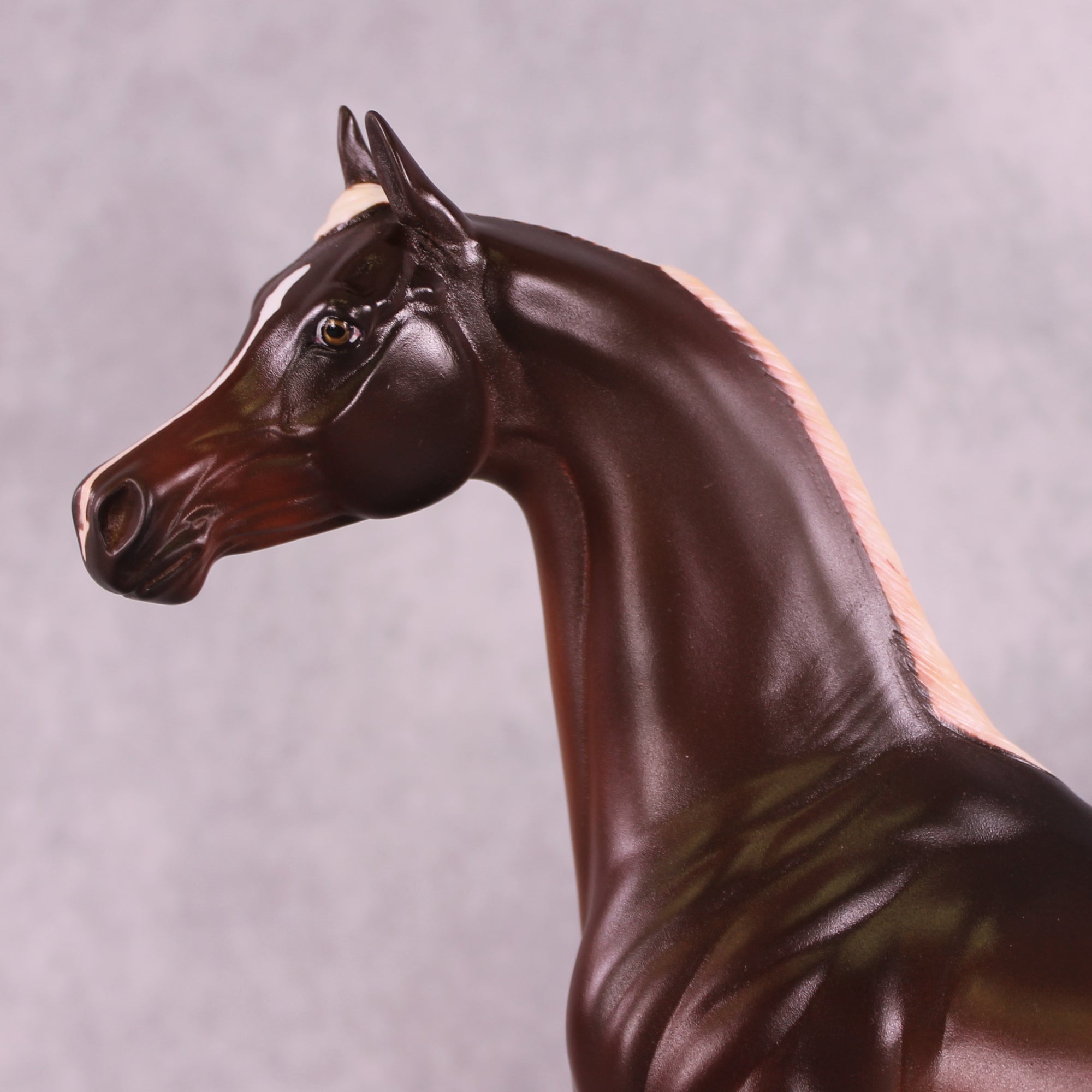 "Macro Me" OOAK FCM Arabian Stallion by Leah Koerper Best Offer EQ25 07/15/25