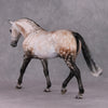 Bel Grande OOAK Dappled Rose Grey Irish Draught by Maggie Jenner-Bennett Best Offer 1/21/25