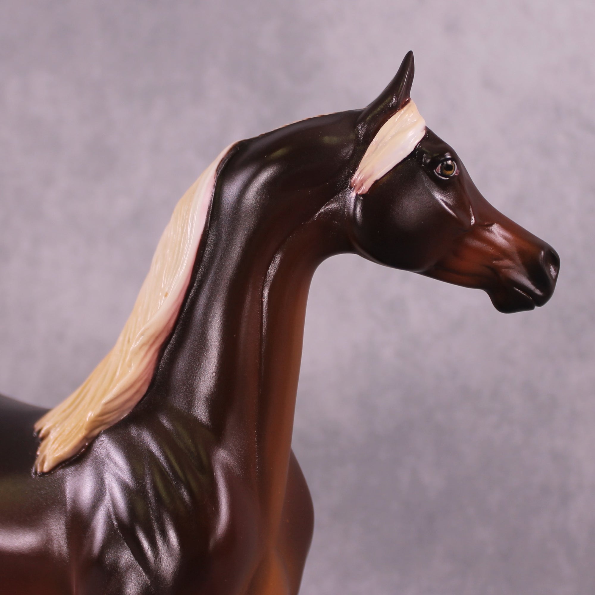 "Macro Me" OOAK FCM Arabian Stallion by Leah Koerper Best Offer EQ25 07/15/25