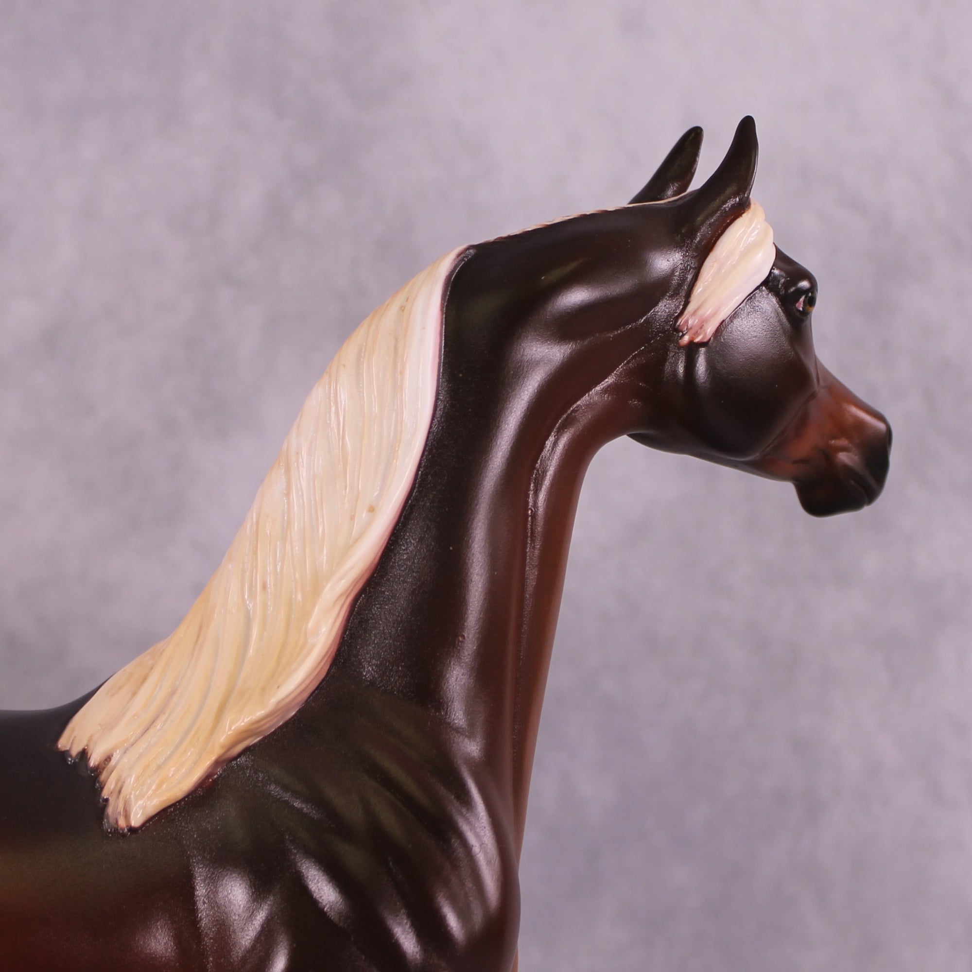 "Macro Me" OOAK FCM Arabian Stallion by Leah Koerper Best Offer EQ25 07/15/25