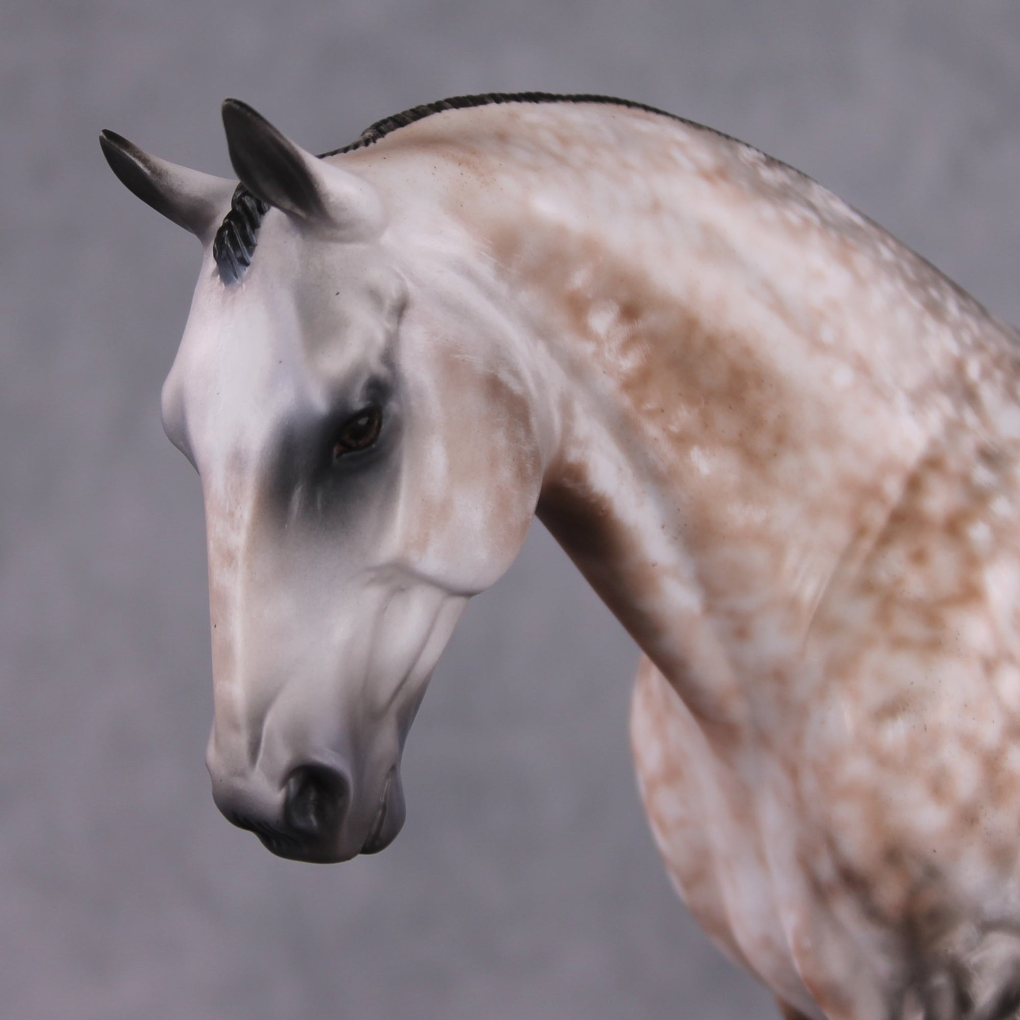 &quot;Bel Grande&quot; OOAK Dappled Rose Grey Irish Draught by Maggie Jenner-Bennett Best Offer 1/21/25