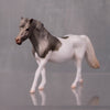 Sophia Limited Edition Rat Inspired Series of 15 OOAK Grey Splash Pony Chip By Jess Hamill LHS24