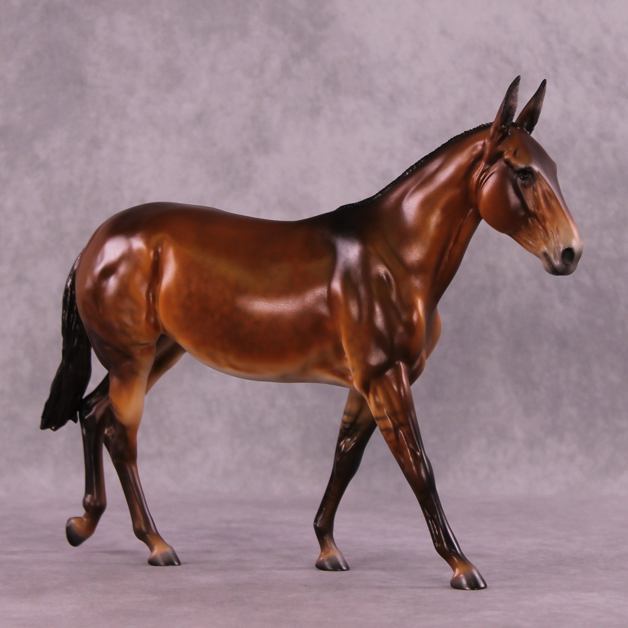 @psurfstheweb LE-5 EFCM Large Mule by Julie Keim MM25