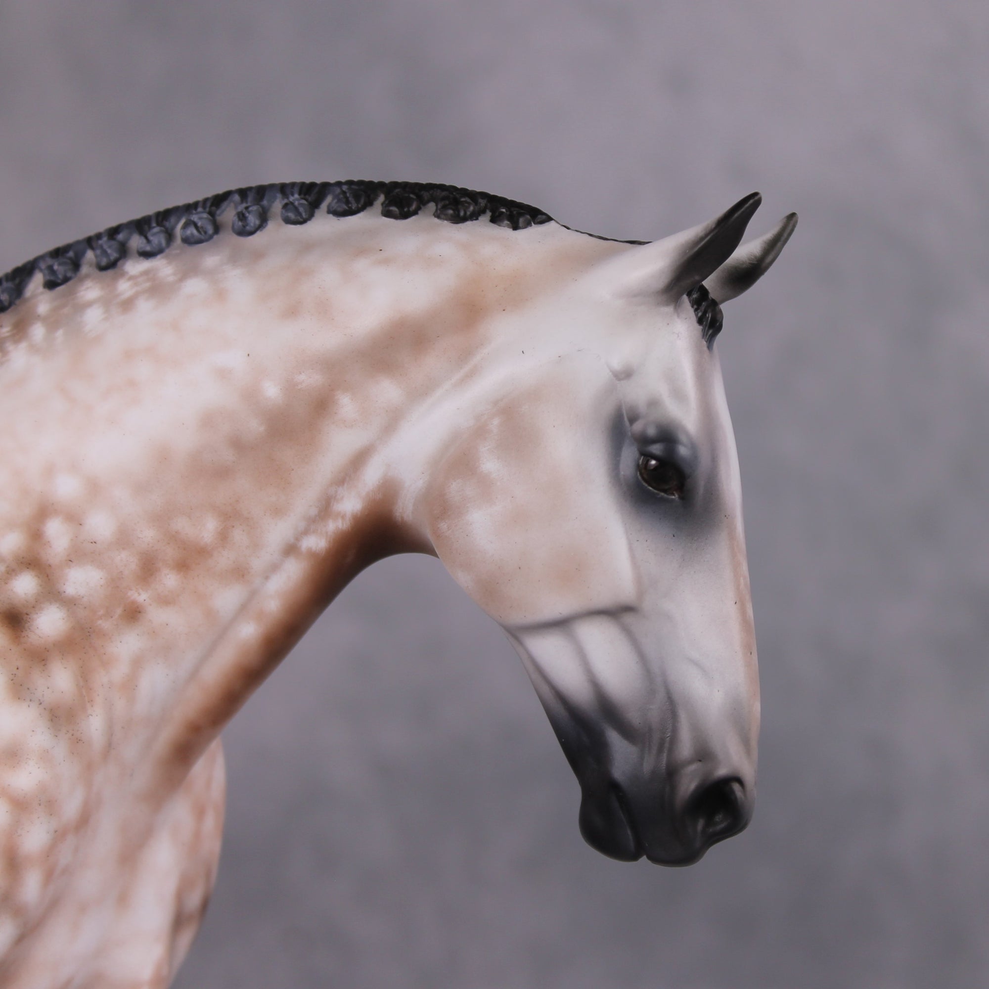 &quot;Bel Grande&quot; OOAK Dappled Rose Grey Irish Draught by Maggie Jenner-Bennett Best Offer 1/21/25