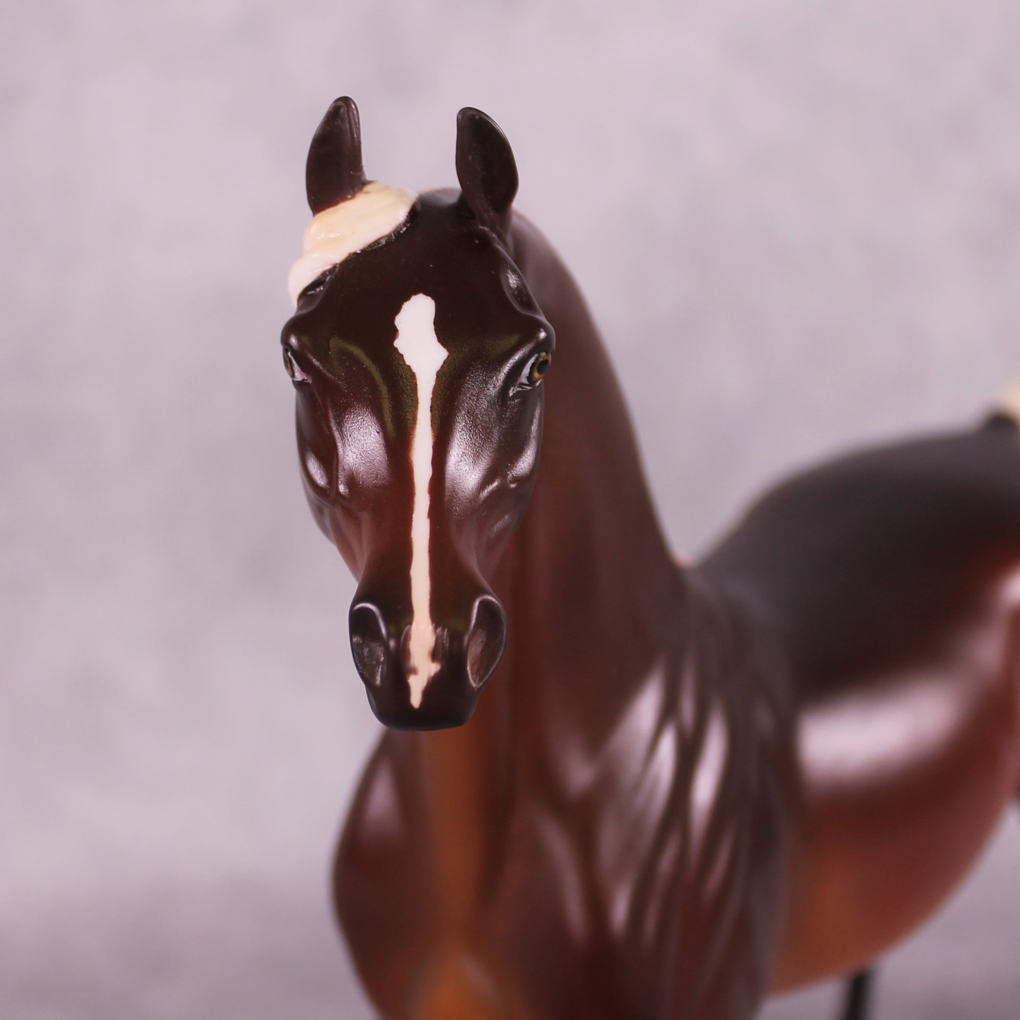 "Macro Me" OOAK FCM Arabian Stallion by Leah Koerper Best Offer EQ25 07/15/25