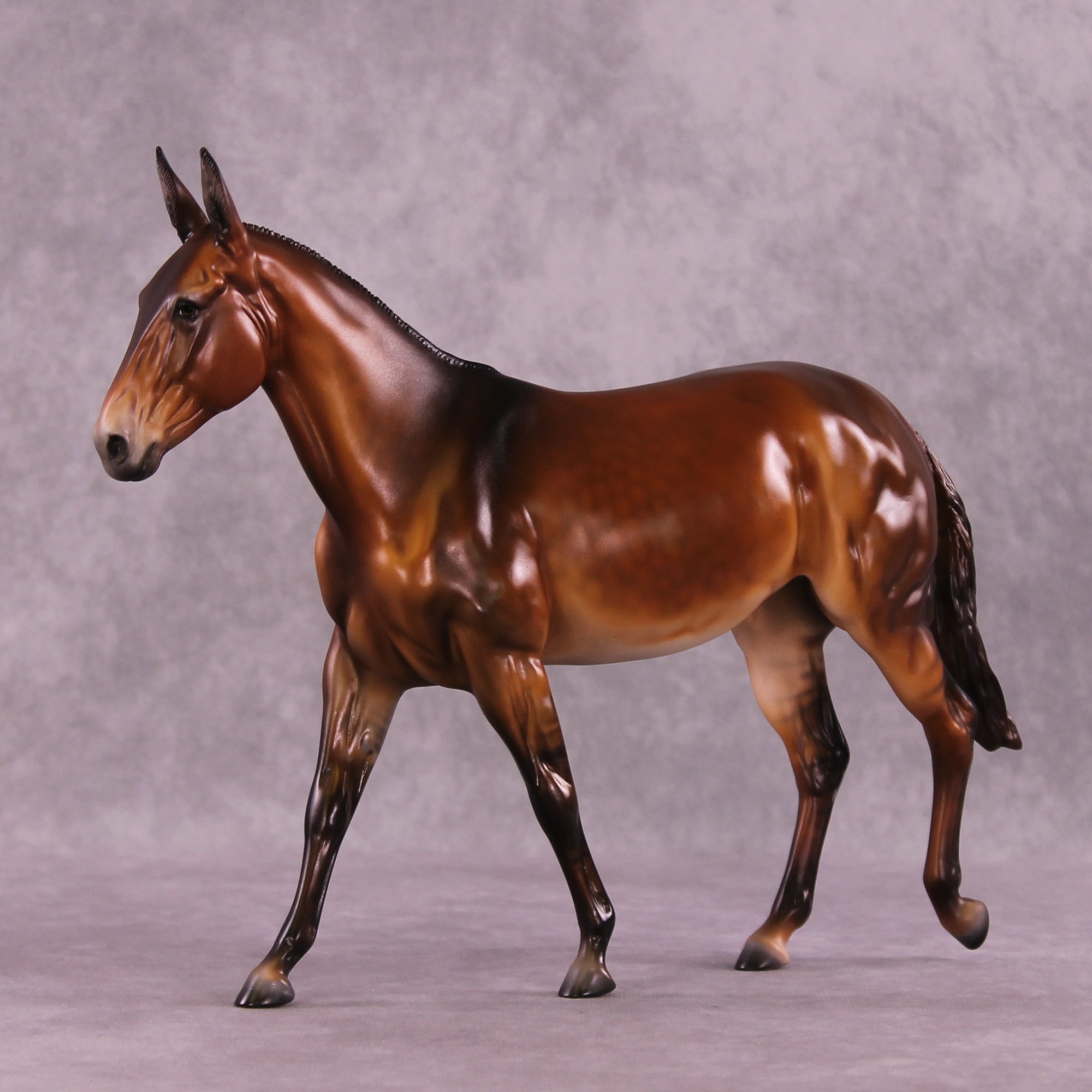 @psurfstheweb LE-5 EFCM Large Mule by Julie Keim MM25