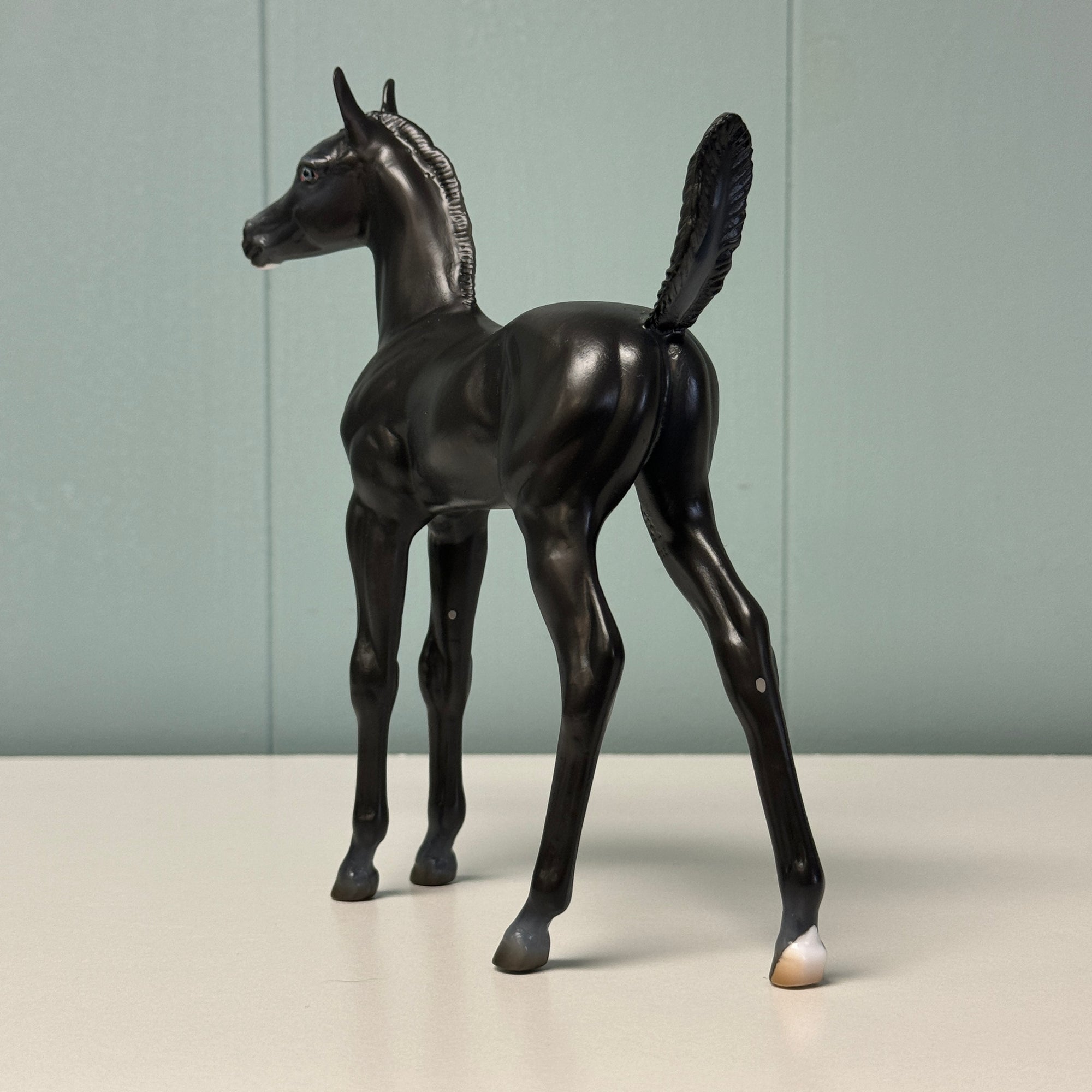 Ink Spot OOAK Black Arabian Foal By Ashley Palmer EQ24