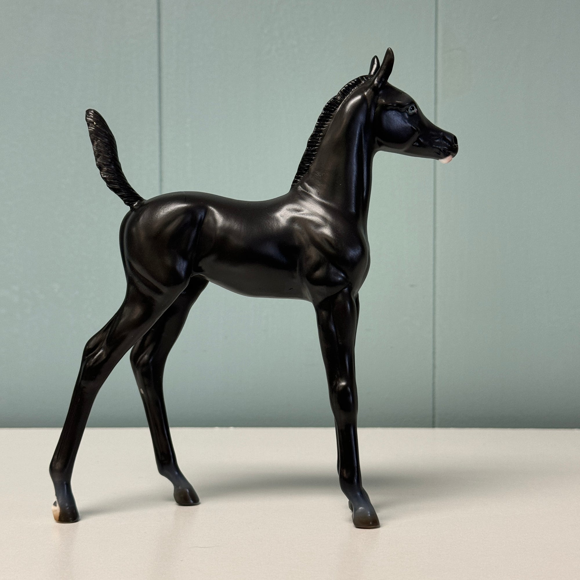 Ink Spot OOAK Black Arabian Foal By Ashley Palmer EQ24