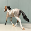 Dragolin OOAK Bay Roan Pinto Palouse By Jess Hamill EQ24