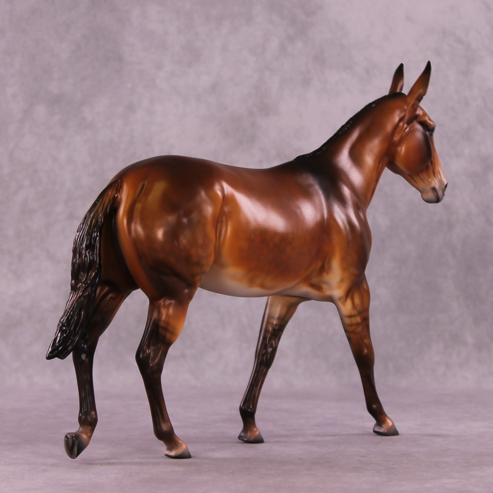 @psurfstheweb LE-5 EFCM Large Mule by Julie Keim MM25