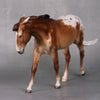 Not Today OOAK Custom Chestnut Appaloosa Pebble Mule By Ellen Robbins BEST OFFERS LHS24