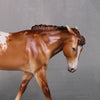 Not Today OOAK Custom Chestnut Appaloosa Pebble Mule By Ellen Robbins BEST OFFERS LHS24