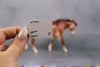 Not Today OOAK Custom Chestnut Appaloosa Pebble Mule By Ellen Robbins BEST OFFERS LHS24