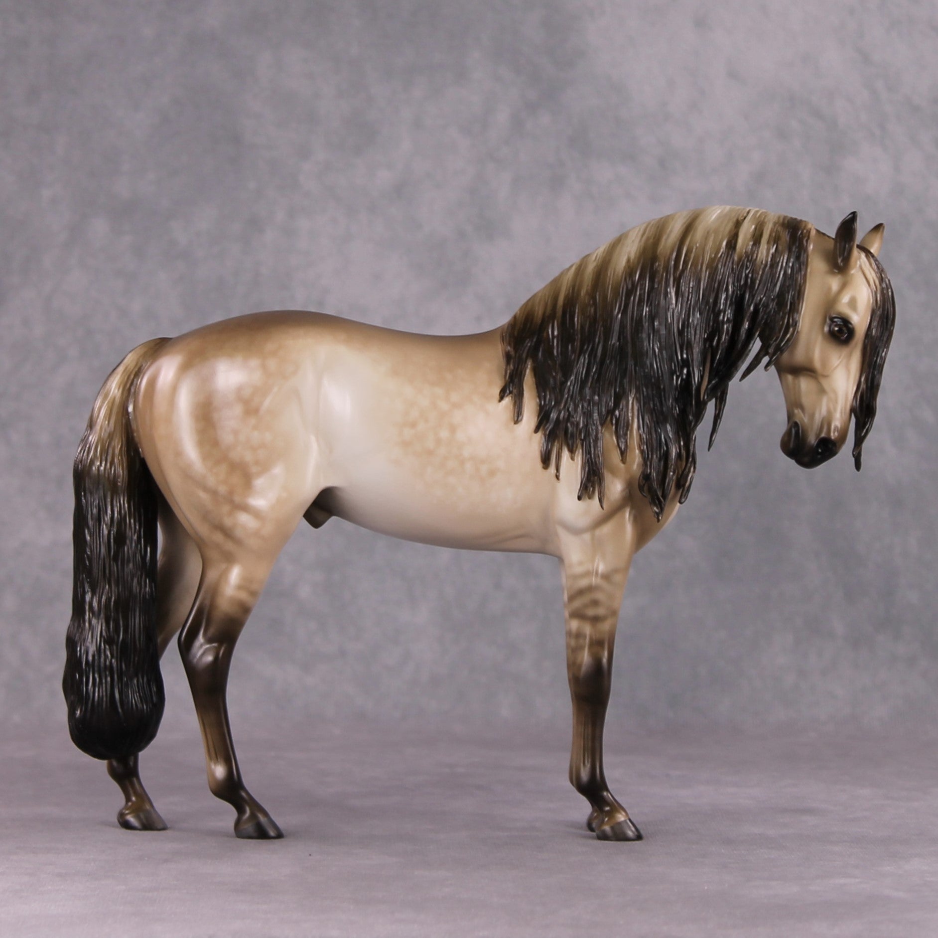 "Lustre" OOAK Dappled Dun Andalusian Stallion By Sheryl Leisure &amp; Mona Best Offer 1/21/25